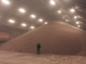 Wood pellets in Denmark processing plant