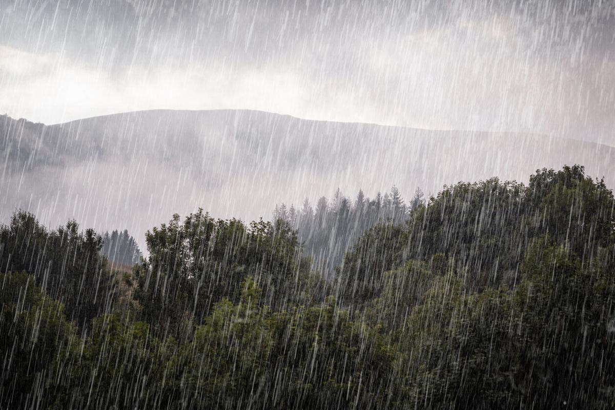 Rain over the green forest. Carpathian foggy mountain hills. Rainy day in summer.