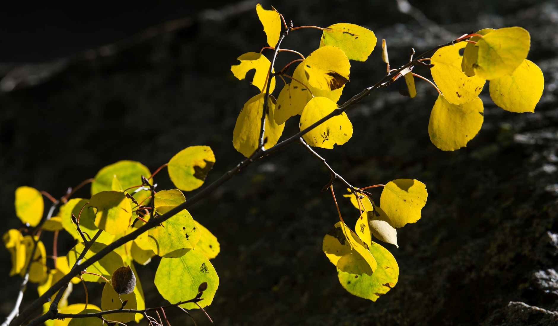Waters and fall colors: A perfect marriage in Colorado