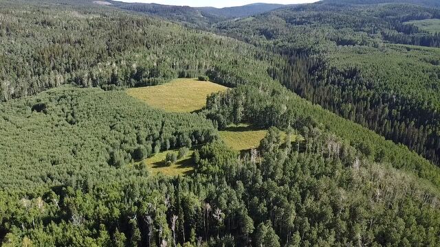 This drone shot of the Uncompahgre National Forest was taken during a four-day search for a hiker who went missing while on a spiritual fast. (San Miguel County Sheriff)