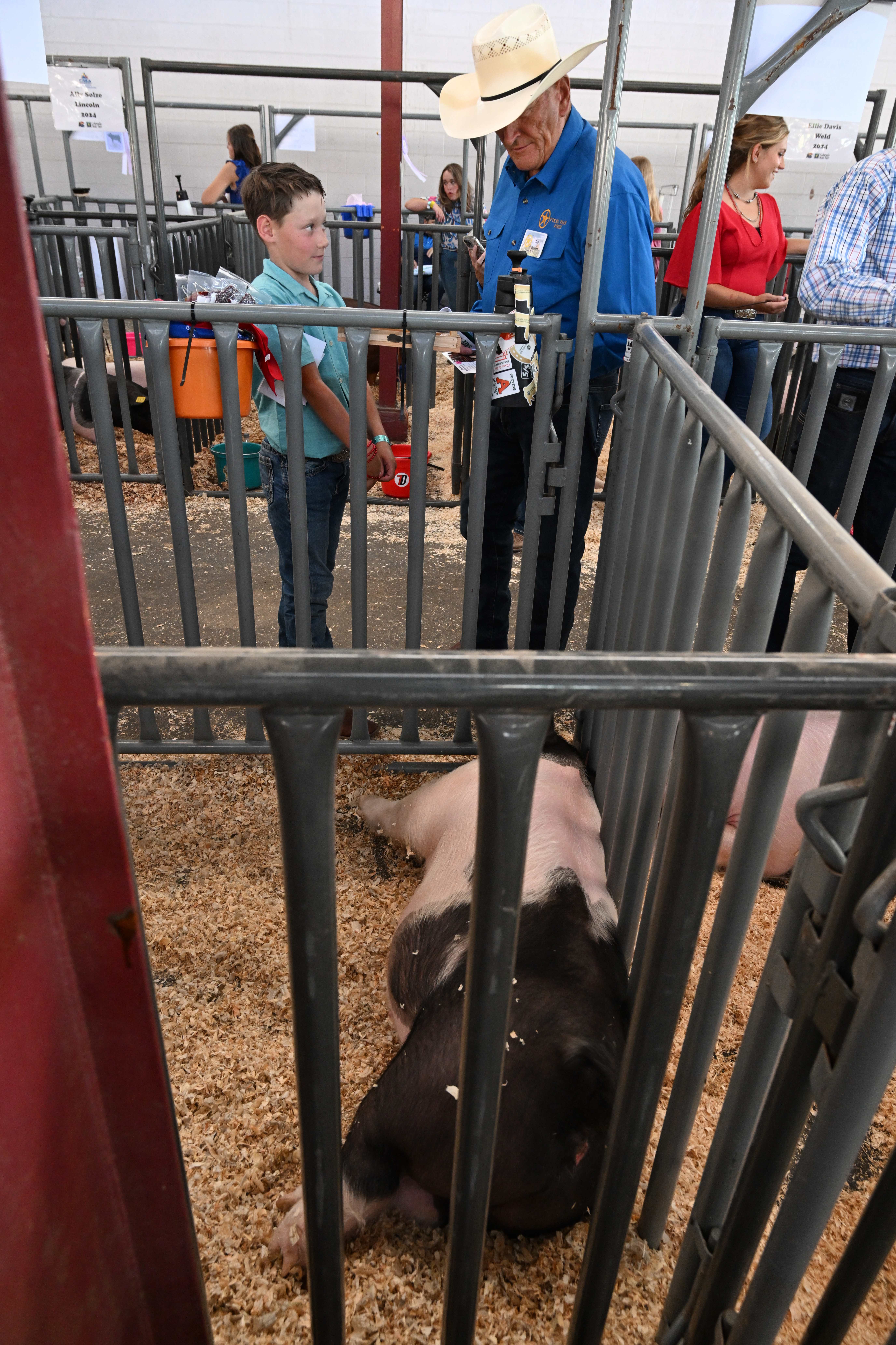 Dallen Bringhurst from Elbert County talks to Ted Severn about his prize winning hog before the Junior Livestock Sale at the Colorado State Fair on Tuesday, Aug. 27, 2024. Ted Severn is with the Pikes Peak Posse group whose member bid on and bought many of the youngsters animals that they had raised. (Jerilee Bennett The Gazette)