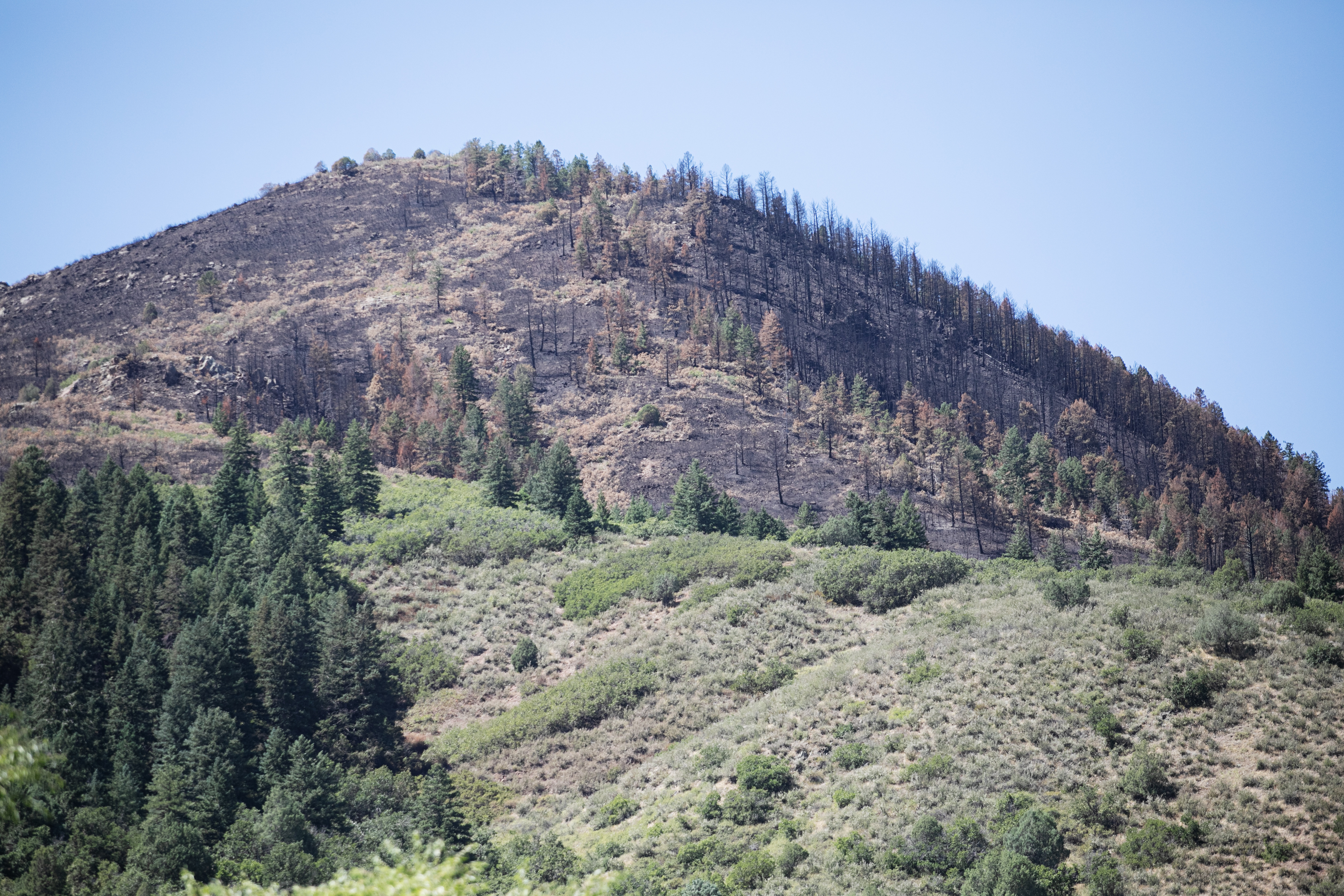 Deer Creek Canyon Park is left burnt in several large areas following the Quarry Fire's path through the park in Littleton, Colo. on Friday, Aug. 16, 2024. (TomHellauerMultimedia Producertom.hellauer@denvergazette.comhttps://denvergazette.com/content/tncms/avatars/f/9e/622/f9e6228a-3b6b-11ed-bf10-fbb71fa8e421.f54b911252c540f1d61709edc4727a39.png)