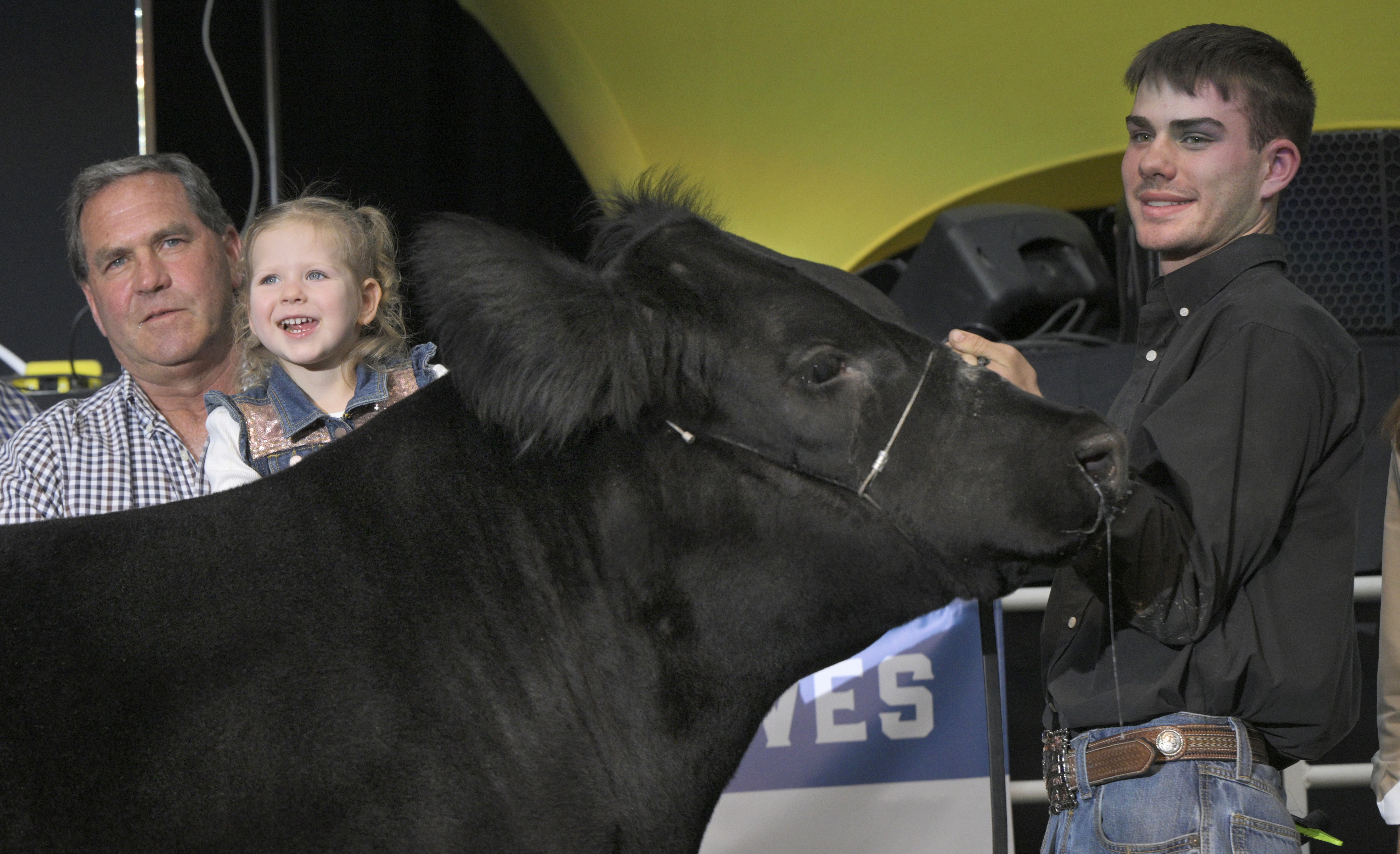 Jake King (right) had the Grand Champion market steer and took the big cash prize of $50,000 at the Junior Livestock Auction at the Colorado State Fair on Tuesday, Aug. 27, 2024. (Jerilee Bennett The Gazette)
