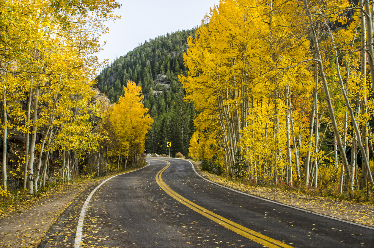 Independence Pass during the fall color peak. Photo Credit: bauhaus1000 (iStock). (bauhaus1000)