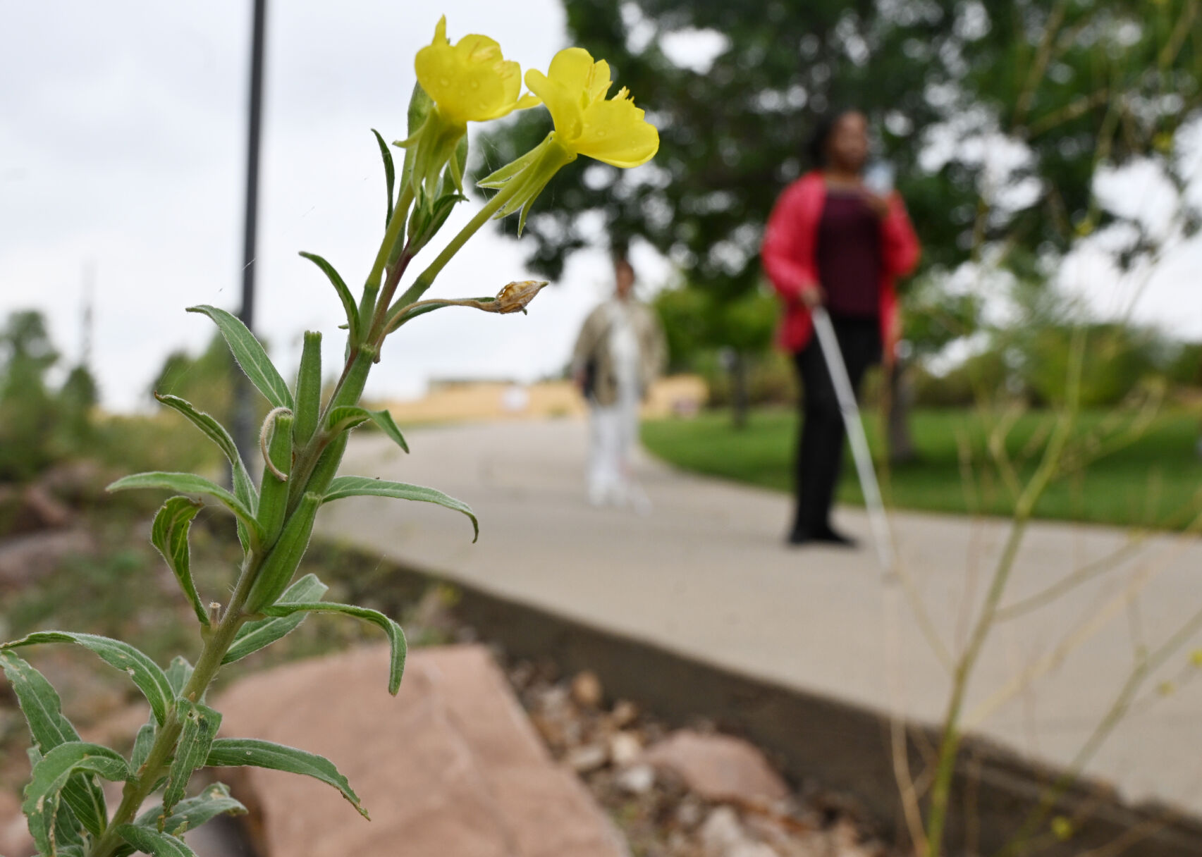 Blind people are exploring Colorado’s state parks thanks to a new service