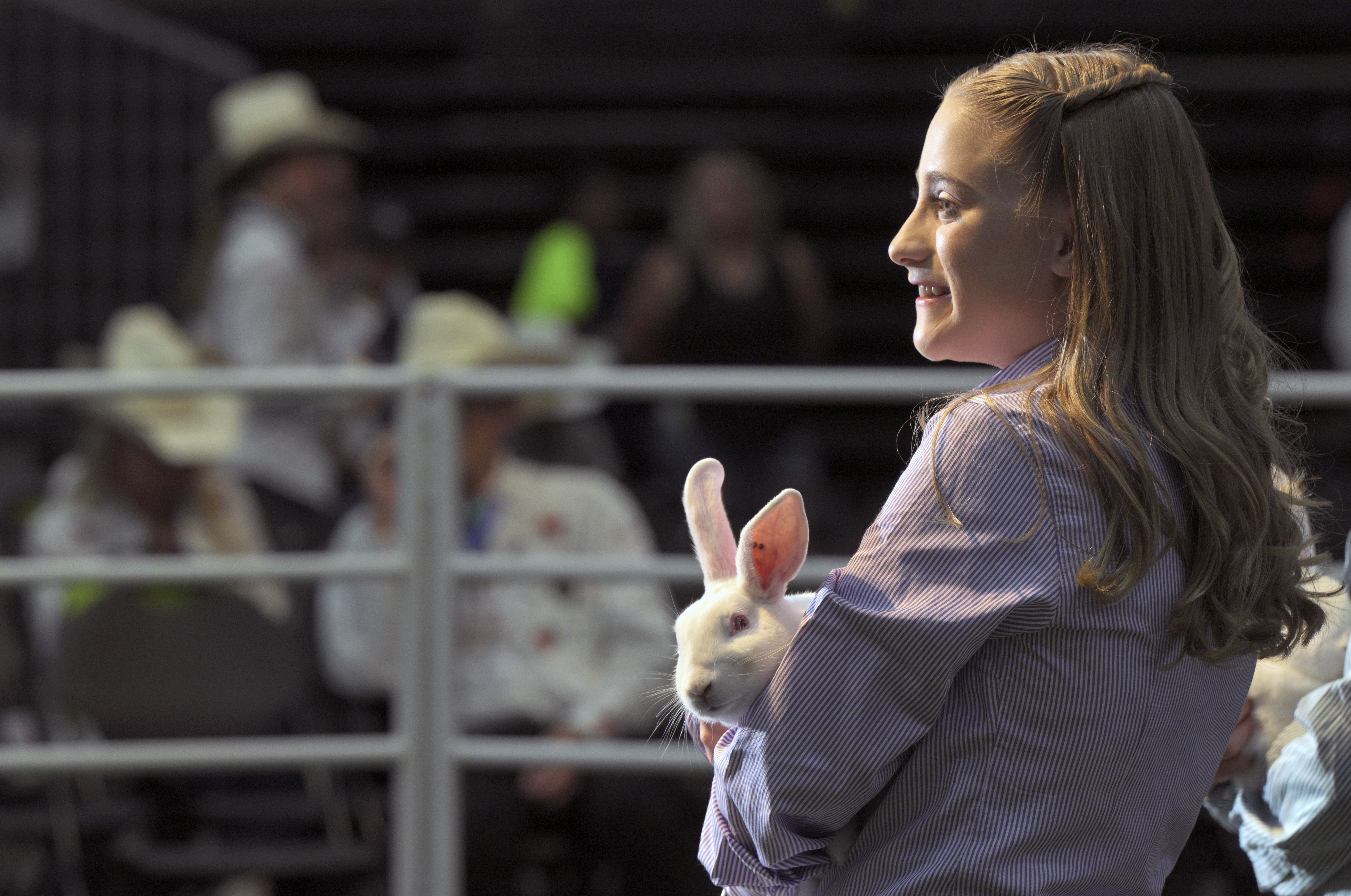 Brooke Barnett shows on of her Grand Champion rabbits to the crowd of bidders at the Junior Livestock Show at the Colorado State Fair on Tuesday, Aug. 27, 2024. Barnett is from Garfield County. (Jerilee Bennett The Gazette)