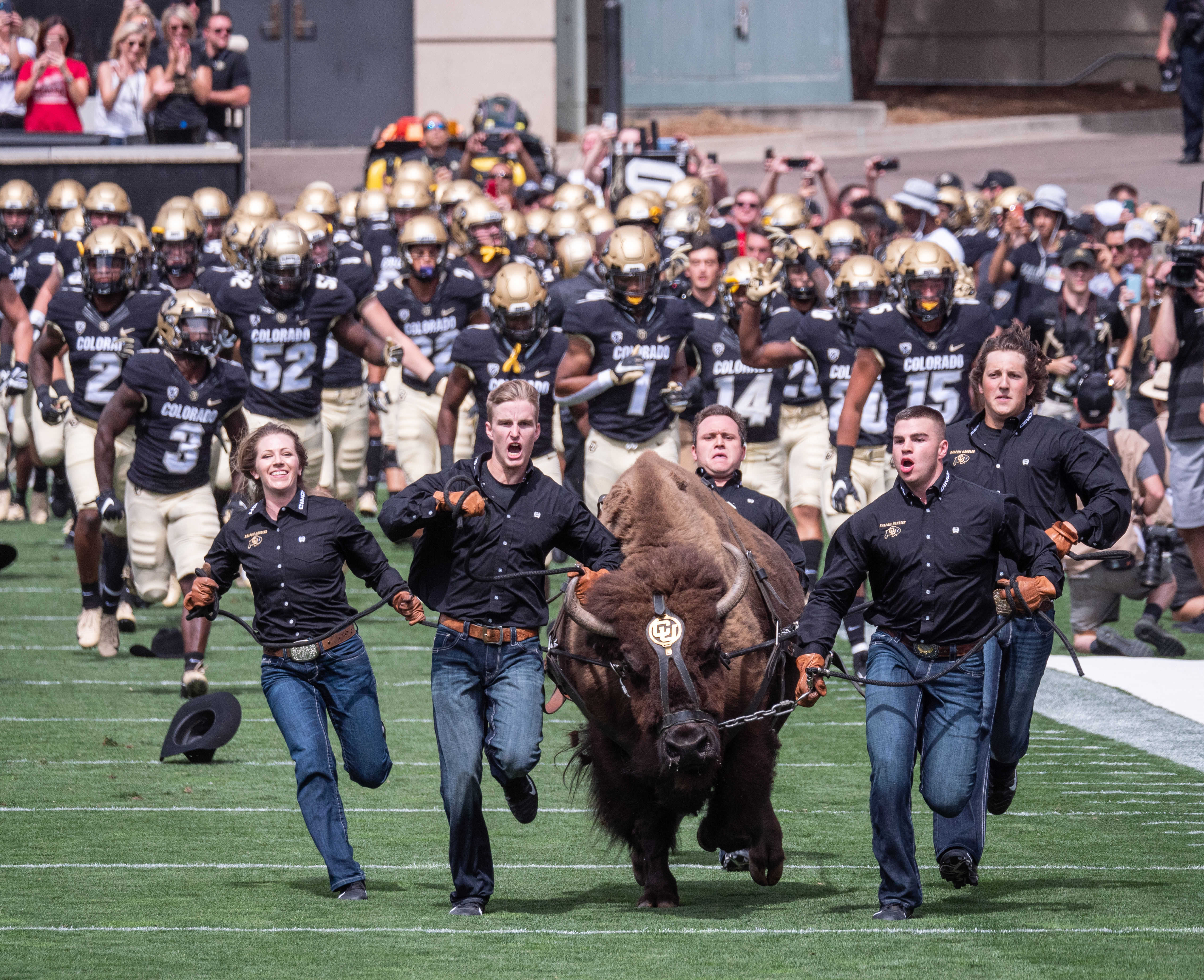 Ralphie runs at the CU-Nebraska game on Sept. 7, 2019. CU won 34-31 in overtime. Photo by Glenn Asakawa/University of Colorado) (Courtesy: Glenn J. Asakawa/University of Colorado)