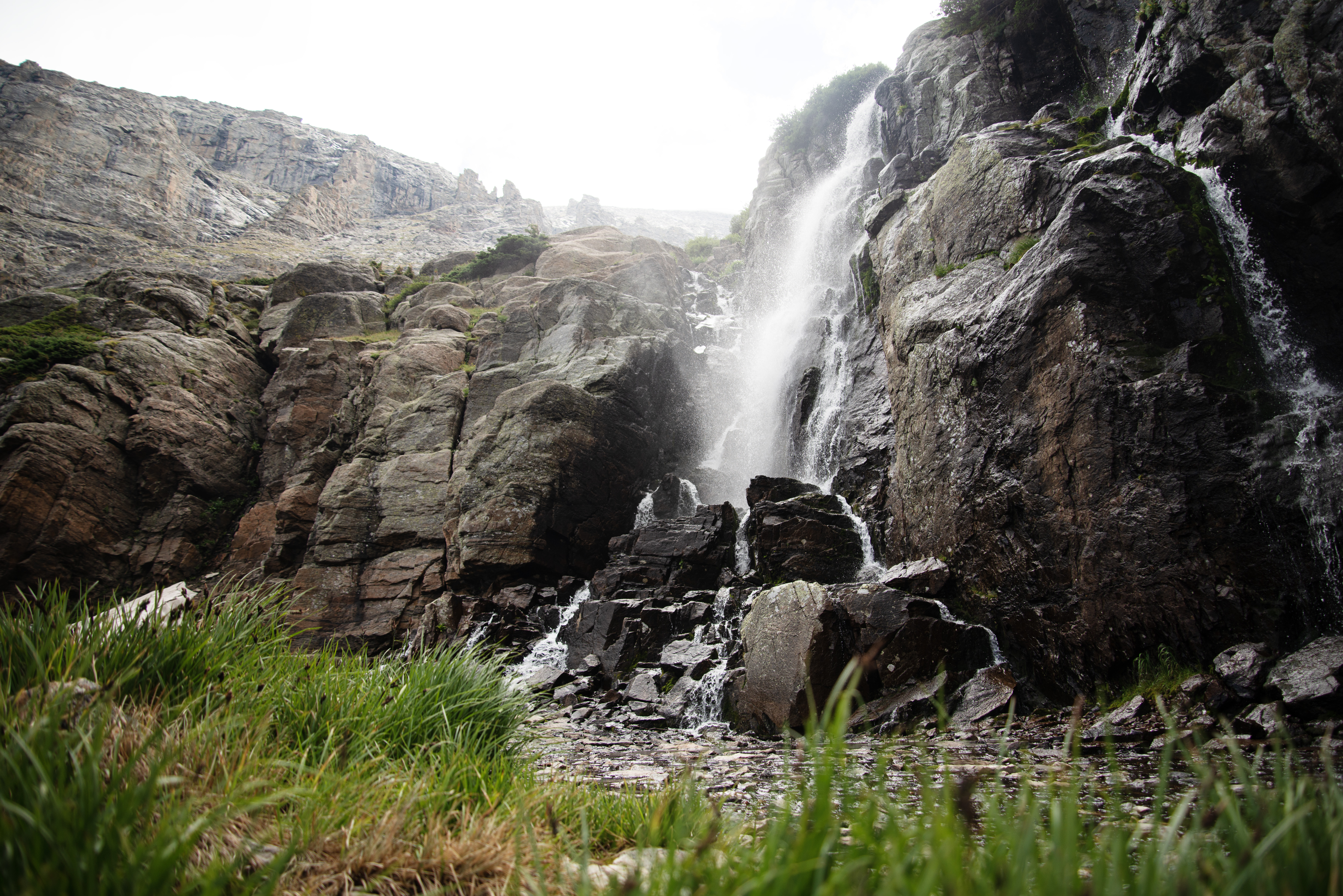 PHOTOS: Rocky Mountain National Park teeming with wildlife in early August