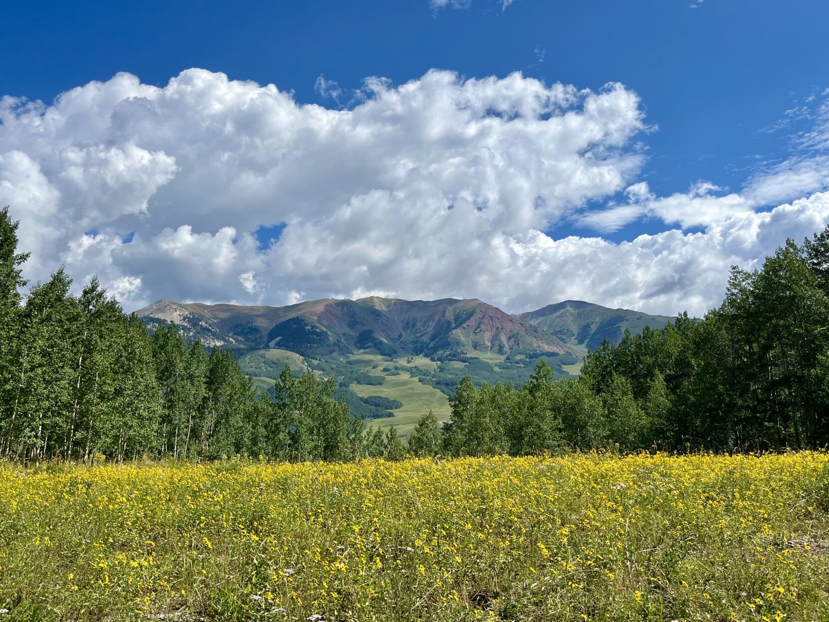 Views from Snodgrass Trail in Crested Butte. Gazette photo (Gazette photo)