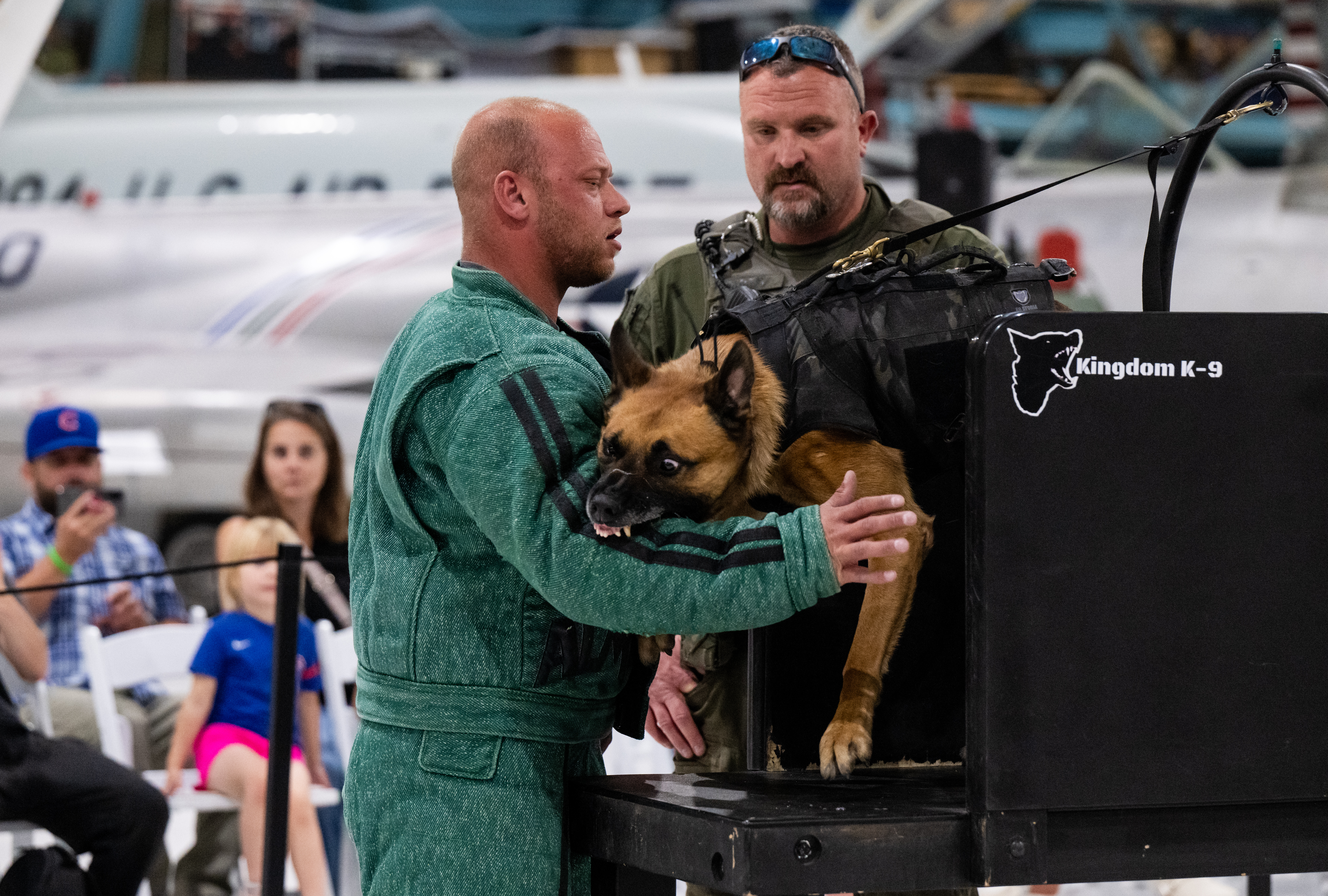 Deputy Matt Foster with the Arapahoe County Sheriff’s Office is bit by K-9 Bodhi during a demonstration of a training technique using a bite table at the Heroes with Paws event, Wednesday, Sept. 25, 2024, in Denver. (Parker Seibold, The Gazette) (Parker Seibold, The Gazette)