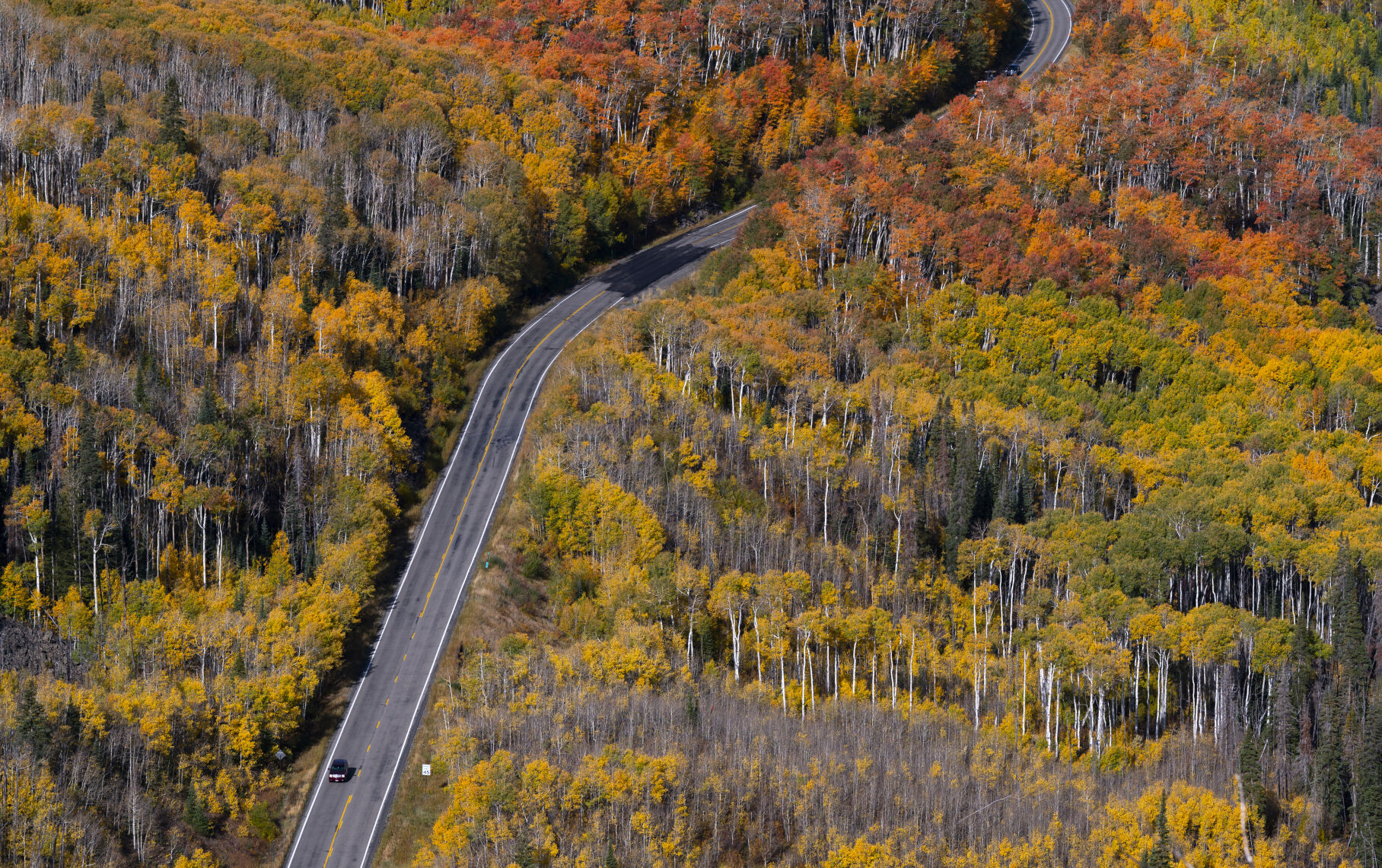 Vehicles drive south along the Grand Mesa Scenic Byway (Colorado 65) through the turning aspens Wednesday, Oct. 4, in the Grand Mesa National Forest. (Christian Murdock, The Gazette)