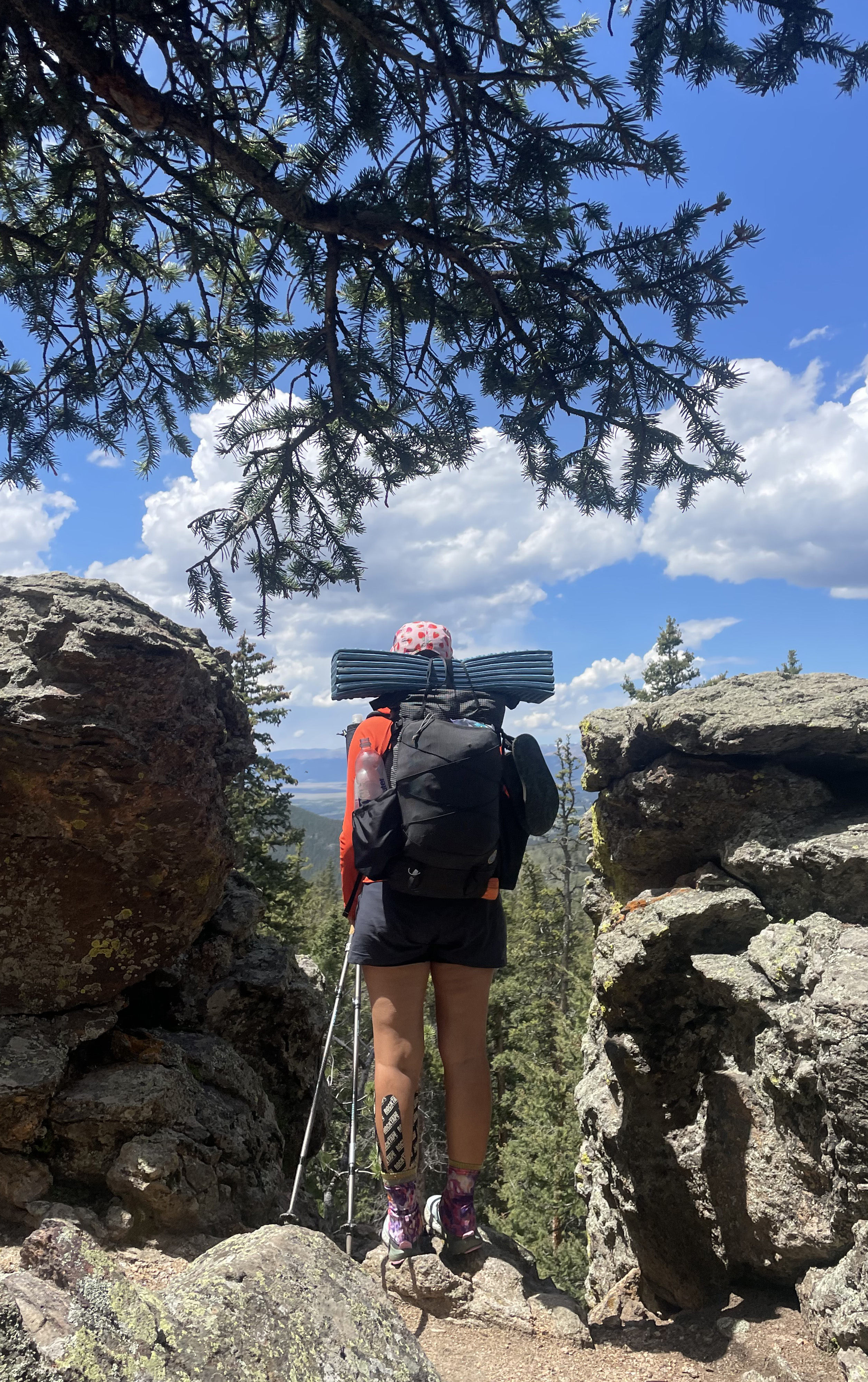 Ariella Nardizzi takes in the view from a spot along the Colorado Trail just before Kenosha Pass on Aug. 7. (Kyla Pearce, the gazette)