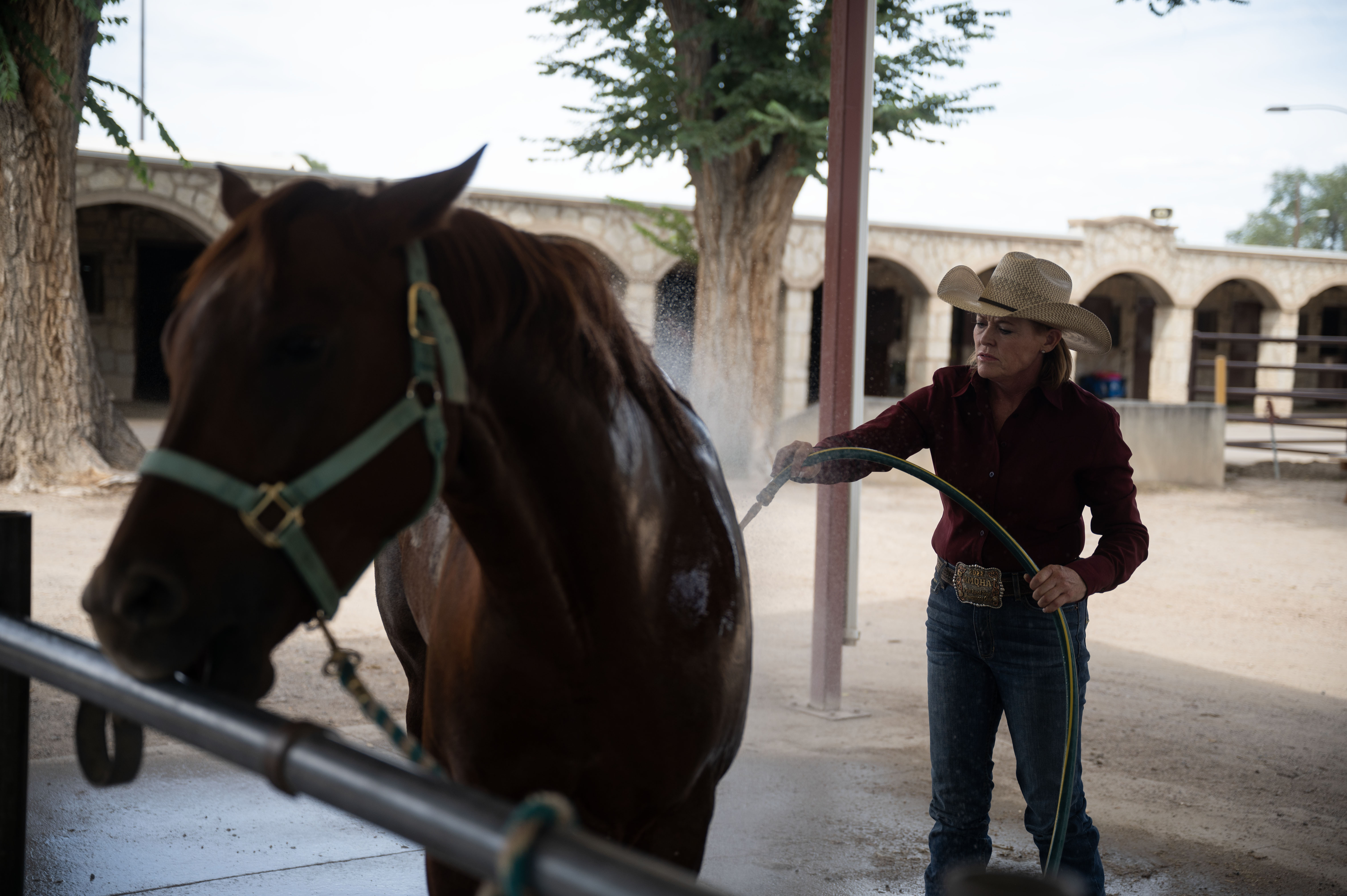 Linda Hitt washes her horse, Winsum Dream, after competing in the Ranch Horse Versatility competition at the Colorado State Fair on Wednesday, Aug. 28, 2024 (Stephen Swofford, Denver Gazette) (StephenSwoffordPhotographerstephen.swofford@gazette.comhttps://secure.gravatar.com/avatar/1ddcaf11c5d70eaa58546ddc4e038687?d=mm&r=g)