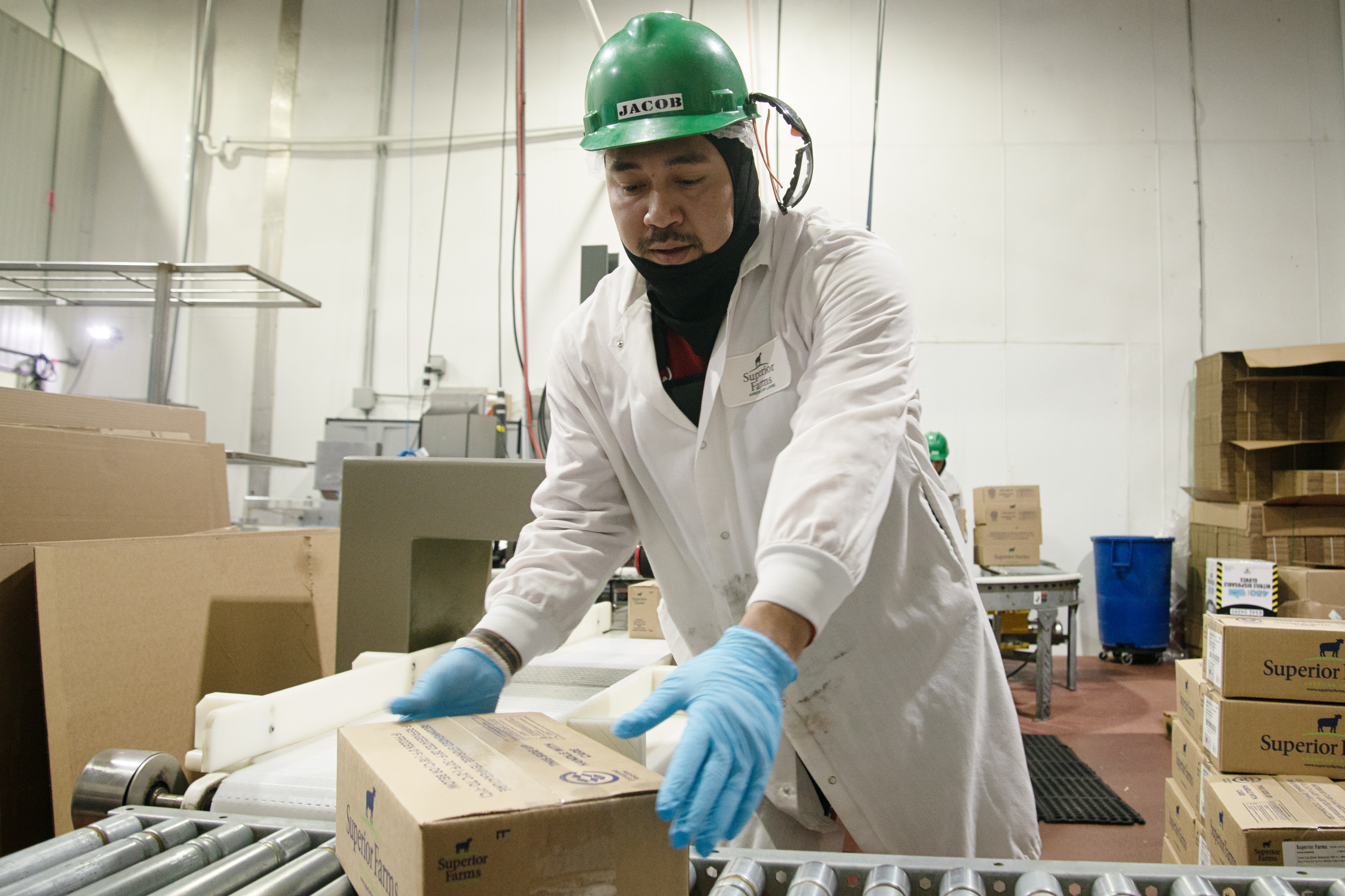 Jacob Toledo packages lamb for distribution at Superior Farms slaughterhouse in north Denver on Friday, Aug. 23, 2024. (TomHellauerMultimedia Producertom.hellauer@denvergazette.comhttps://denvergazette.com/content/tncms/avatars/f/9e/622/f9e6228a-3b6b-11ed-bf10-fbb71fa8e421.f54b911252c540f1d61709edc4727a39.png)