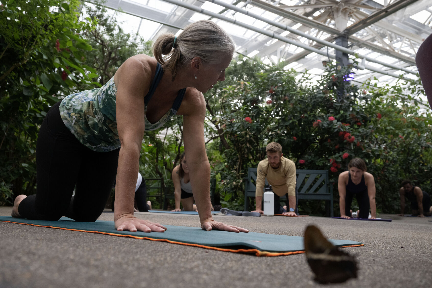 Practicing yoga among thousands of butterflies: Rainforest yoga at Butterfly Pavilion