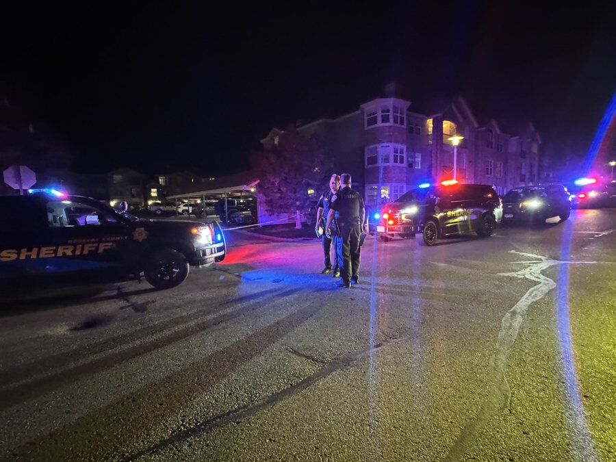Man shot dead after pointing gun at Douglas County deputies