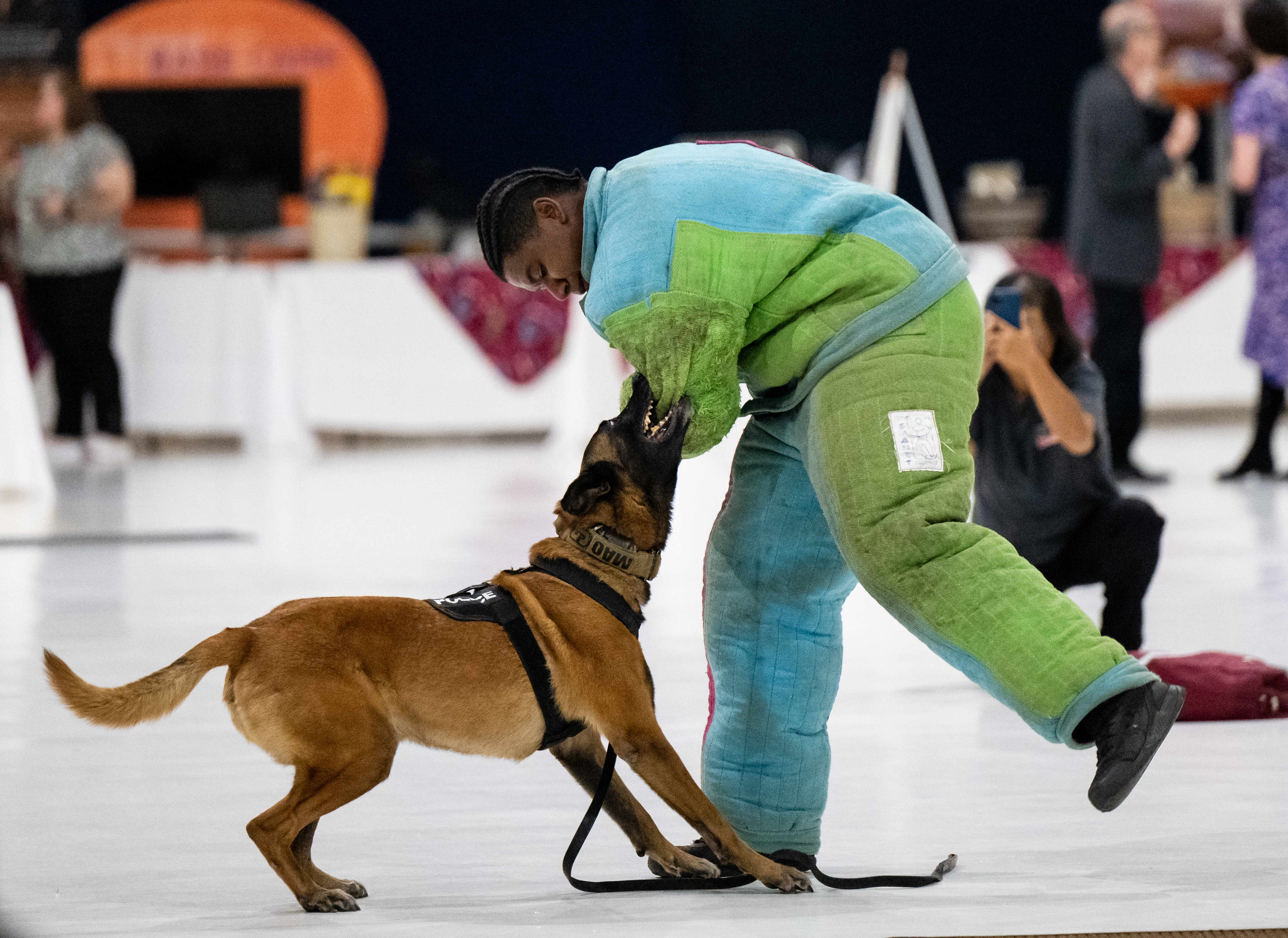 Officer Chris Whyte of the City of Golden Police Department is bit by K-9 Mao during a bite demonstration at the 6th Annual Heroes with Paws event, Wednesday, Sept. 25, 2024, in Denver. The event showcases the K-9s and their abilities and raises money for items such as bullet and stab proof vests, leashes, first aid kits, K-9s and other training supplies. (Parker Seibold, The Gazette) (Parker Seibold, The Gazette)