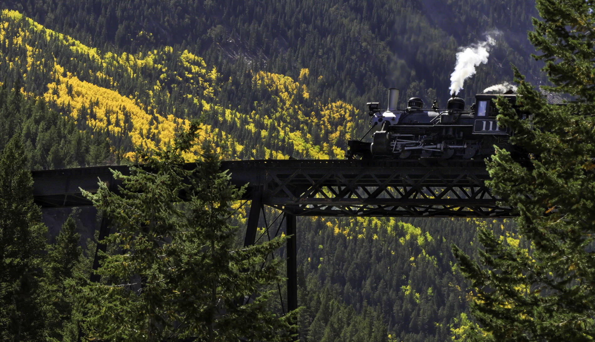 A puff of steam rises from the engine as it starts crossing the High Bridge of the Georgetown Loop Railroad with a backdrop of the changing aspen trees last month. The tourist train travels between Georgetown and Silver Plume, both old mining towns. (Jerilee Bennett, pikes peak courier)