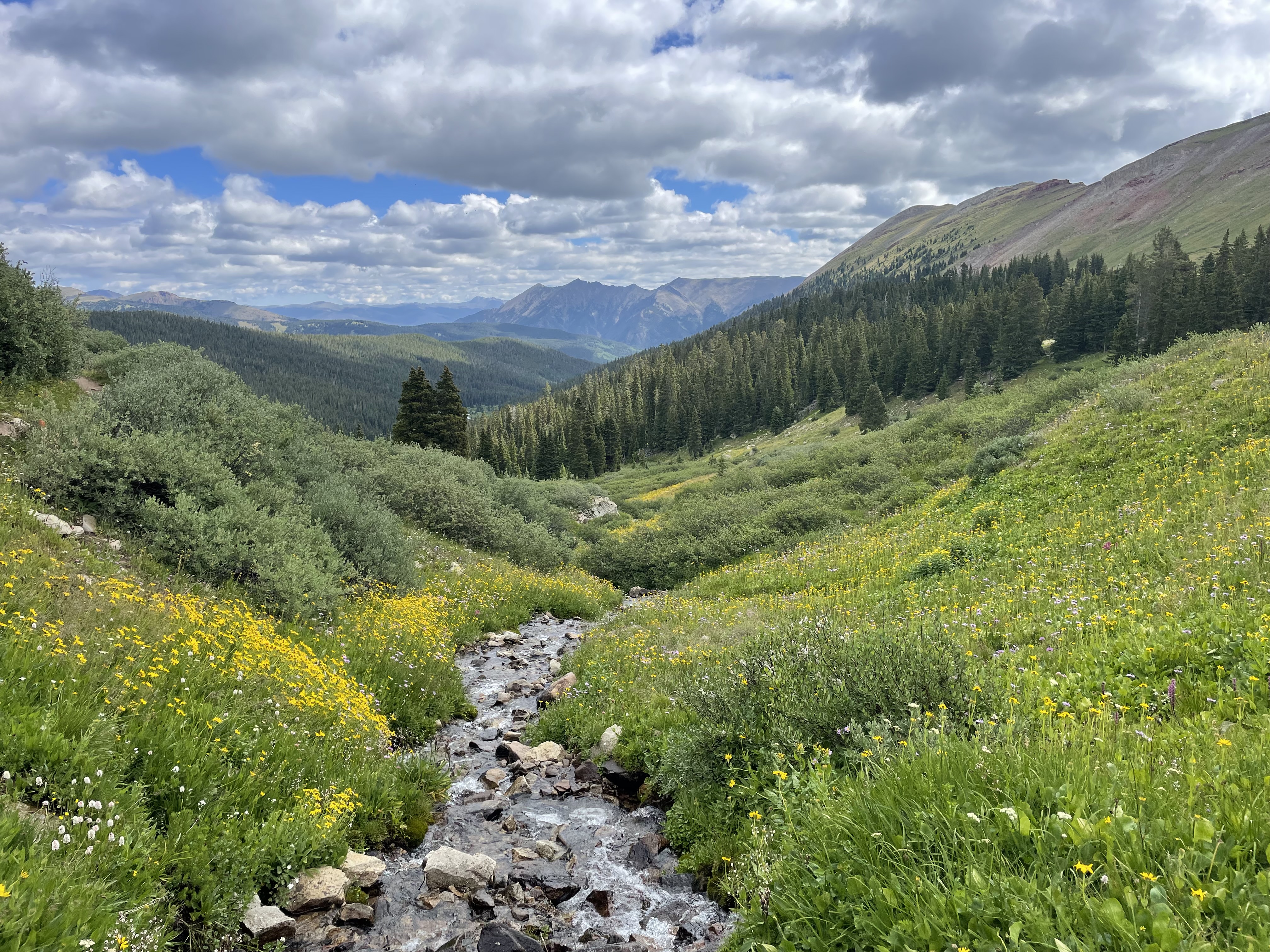 A creek flows through wildflowers between Searle Pass and Kokomo Pass along the Colorado Trail. (KylaPearceAurora reporterkyla.pearce@denvergazette.comhttps://denvergazette.com/content/tncms/avatars/2/16/1e5/2161e54a-3f47-11ed-bc0c-ff41892600ae.4fb8f678b9b96eab286c33c5af828fe7.png)