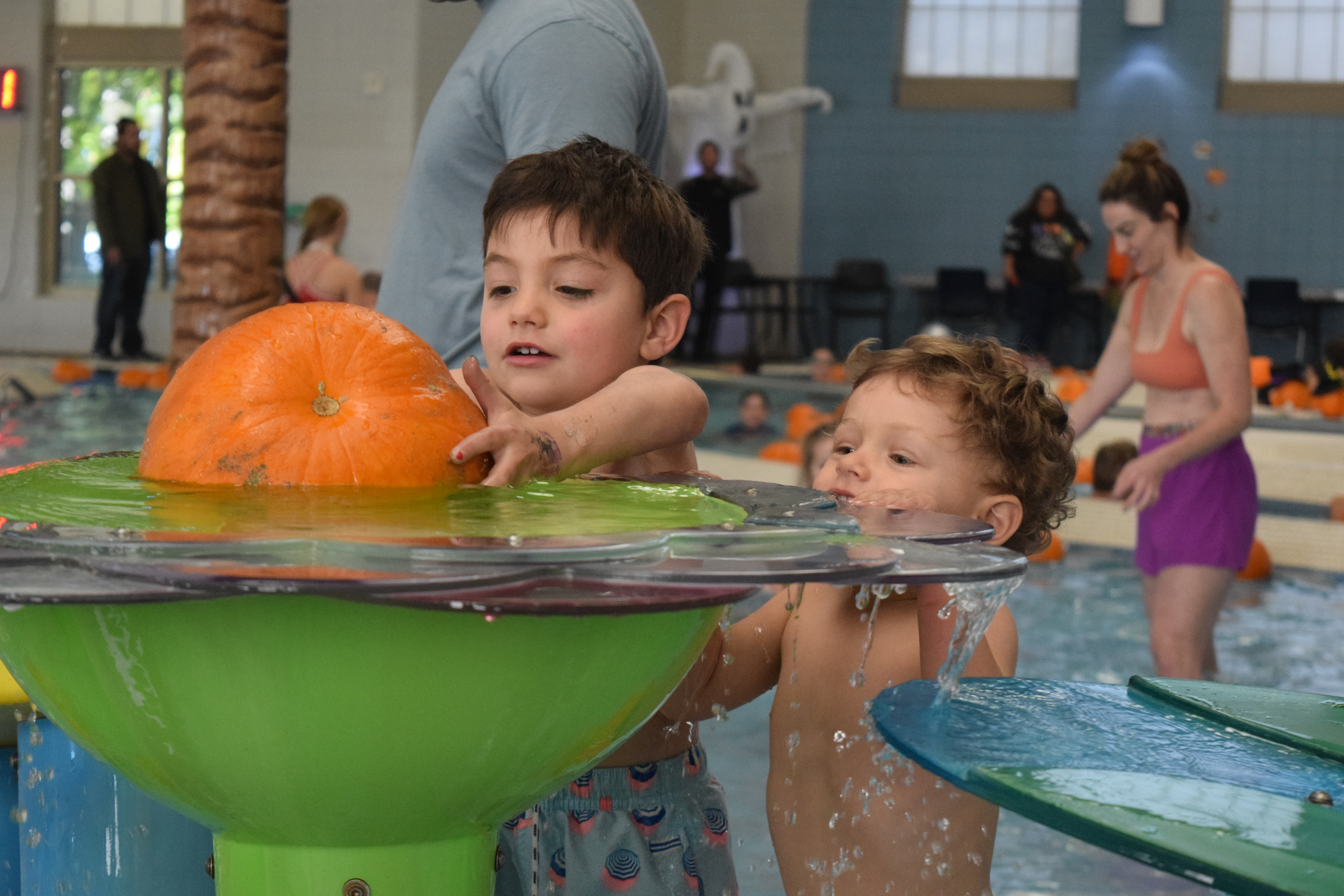 Brothers David, left, and Reid pick a pumpkin out of the shallow end of the Buck Recreation Center pool at the annual Pumpkin Plunge on Saturday. The free event allowed children to dive for pumpkins, swim and make Halloween decorations. (SageKelleyJefferson County Reportersage.kelley@denvergazette.comhttps://denvergazette.com/content/tncms/avatars/e/5f/457/e5f45740-2717-11ee-85b2-ab80f2d36252.5b966c1d2ce4987987665d57c237eda4.png)