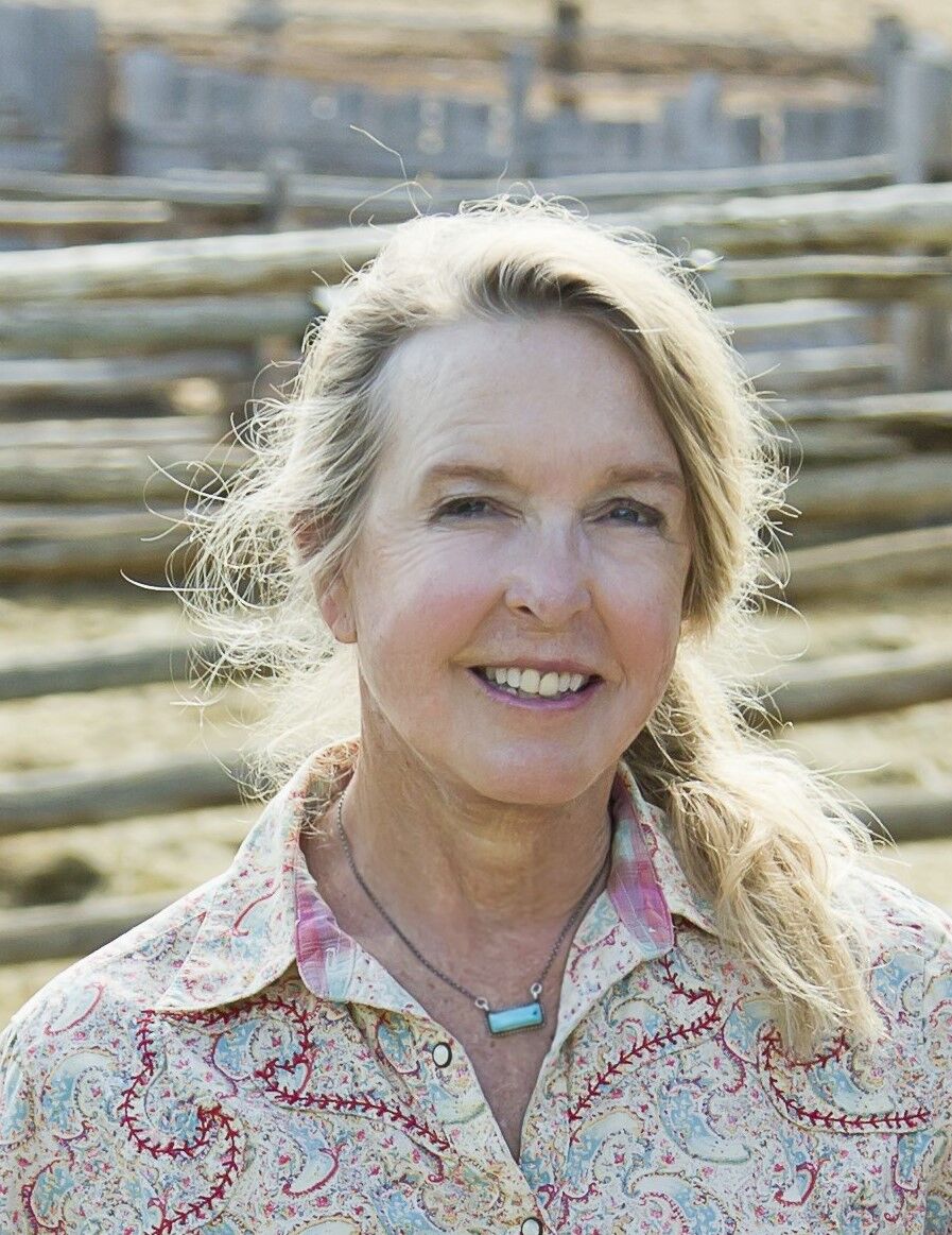 Kathleen Curry, Democratic candidate for House District 58 (MarianneGoodlandmarianne.goodland@coloradopolitics.comhttps://secure.gravatar.com/avatar/125a14b7bd9266f61a445ec13b1d3605?d=mm&r=g)