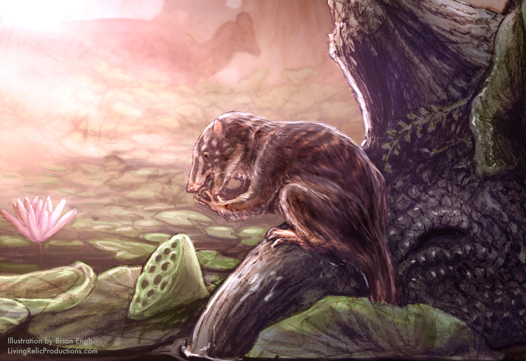 New ‘swamp dweller’ discovered in Colorado