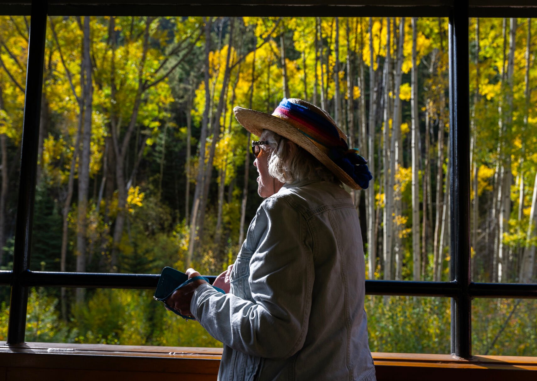 Liz DeLisa from Brighton watches the turning aspens from the open-air passenger car on the Durango & Silverton Narrow Gauge Railroad train as it travels from Silverton to Durango last week. (Christian Murdock, The Gazette)