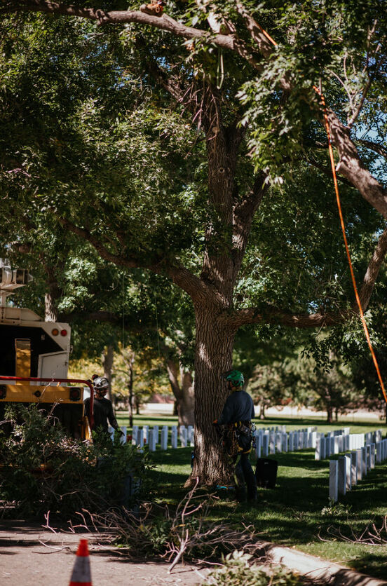 Arborists and other landscaping pros descended on Fort Logan National Cemetery on Sept. 18, 2024 to honor those buried there with a day of service. More than 400 volunteers donated close to $500,000 in services. (Courtesy photo, Molly Margret Photography LLC)