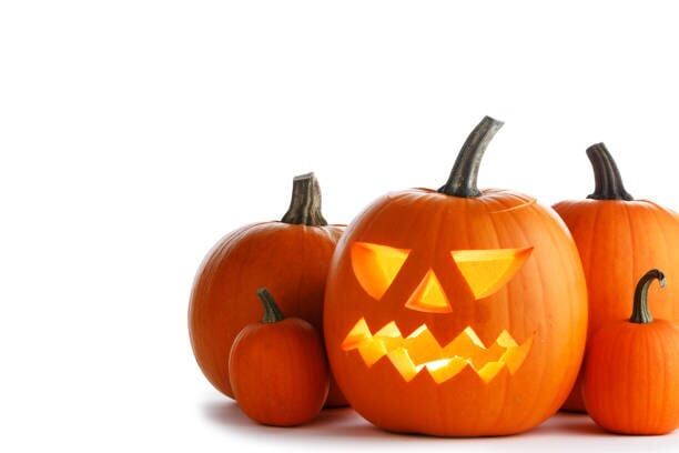 Enjoy pumpkin carving at more at Wild Fall through Oct. 31 at the Denver Zoo. (Getty Images)