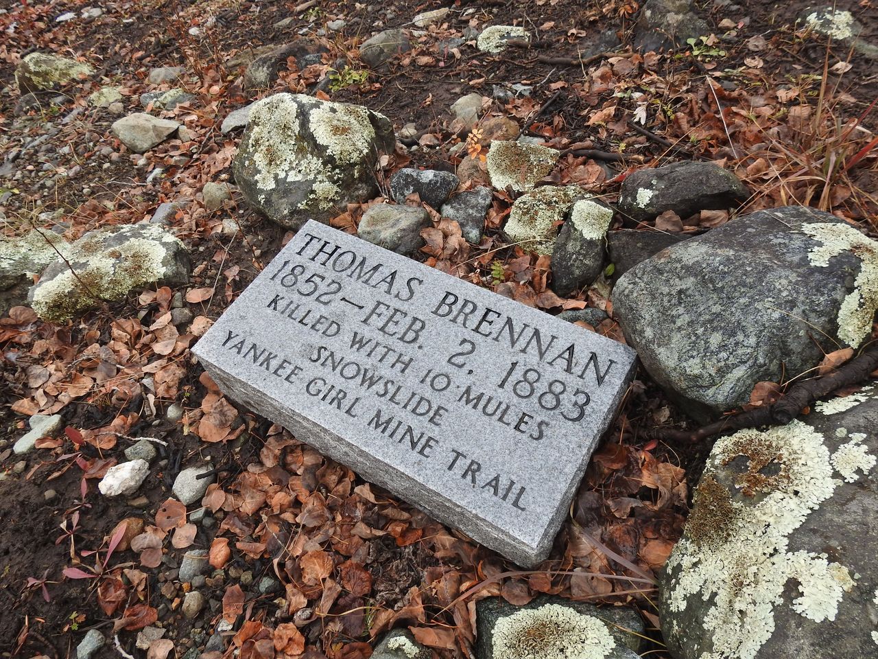 The gravestone of Thomas Brennan, who was killed in a snow slide in 1883, said he was