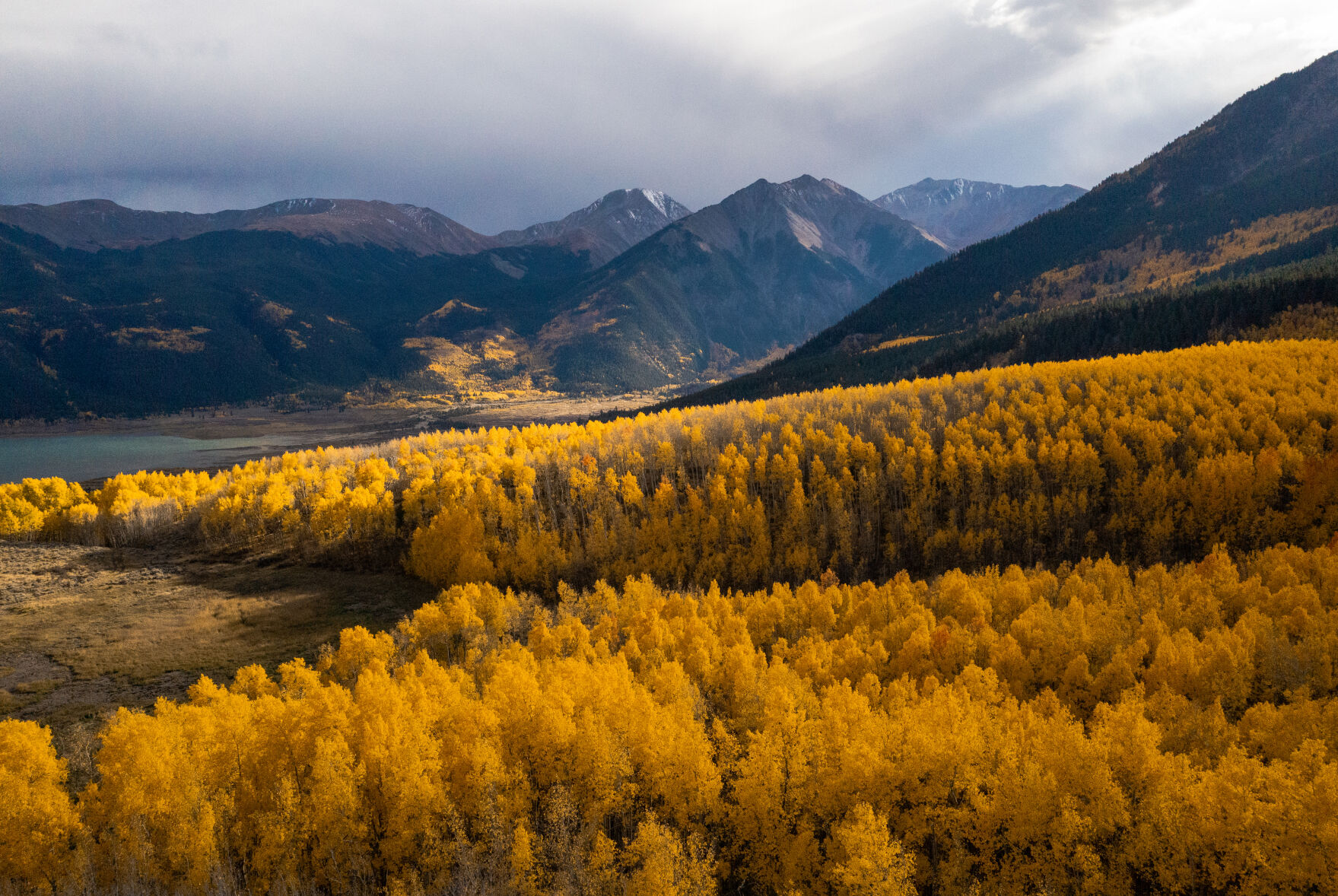 A large grove of changing aspens creates a bright yellow foreground to the Sawatch Mountain Range last week. (Parker Seibold, pikes peak courier)
