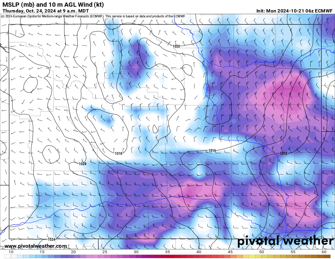Forecasted wind speeds in Wyoming from the ECMWF model for 9 a.m., Thursday, Oct. 24, 2024. (Pivotal Weather.com)