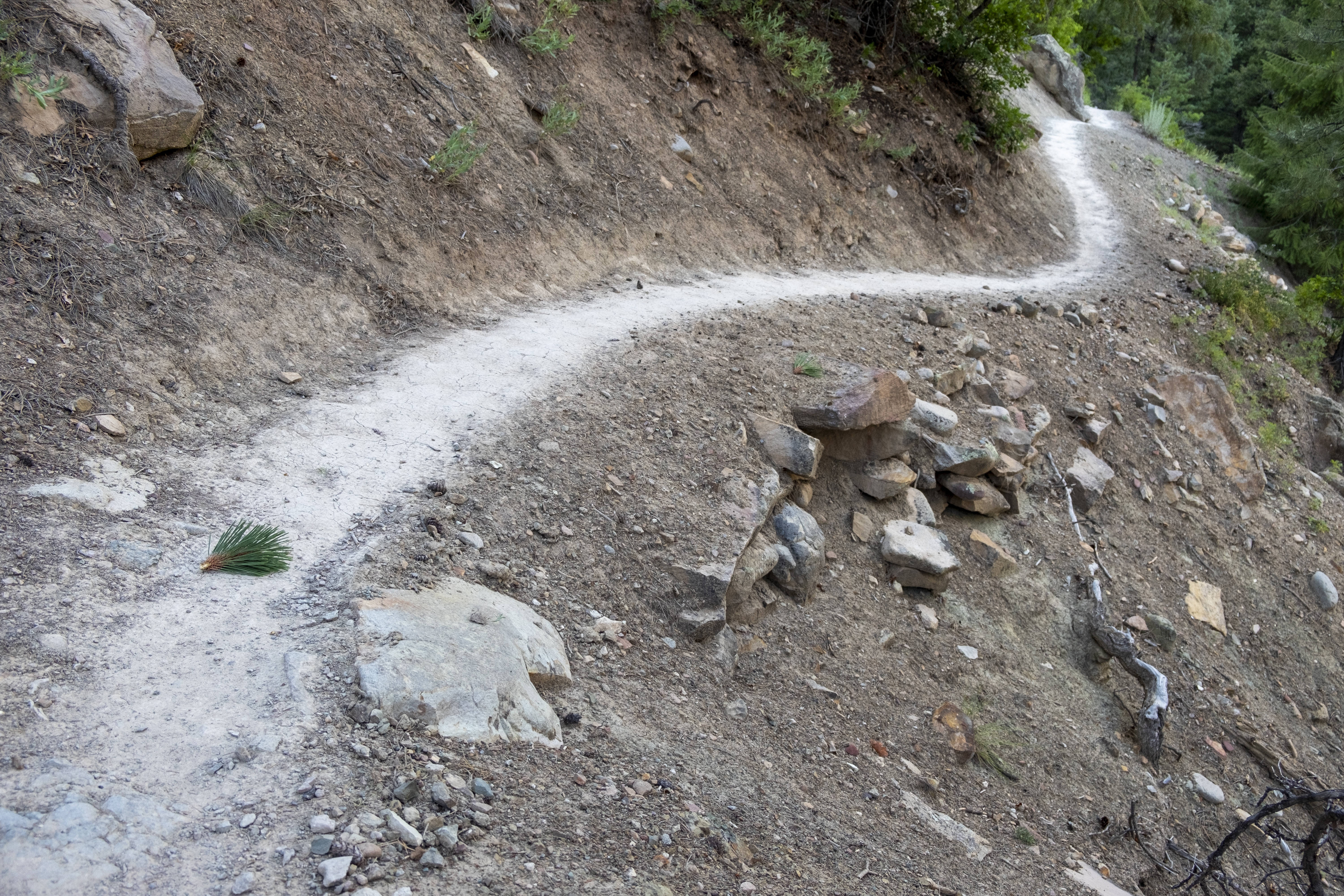 A section of trail on Segment 28 of the Colorado Trail, as seen Tuesday, July 30, 2024, north of Durango, Colorado, shows the trail's route traveling above a rock retainment wall helping support the trail from washing down the slope and into Junction Creek. (JonathanIngrahamDigital Strategistjonathan.ingraham@denvergazette.comhttps://denvergazette.com/content/tncms/avatars/c/dd/7f0/cdd7f086-b693-11ec-b373-bba598953eb6.fc0f5608a6f1144f64f080f771bd904d.png)