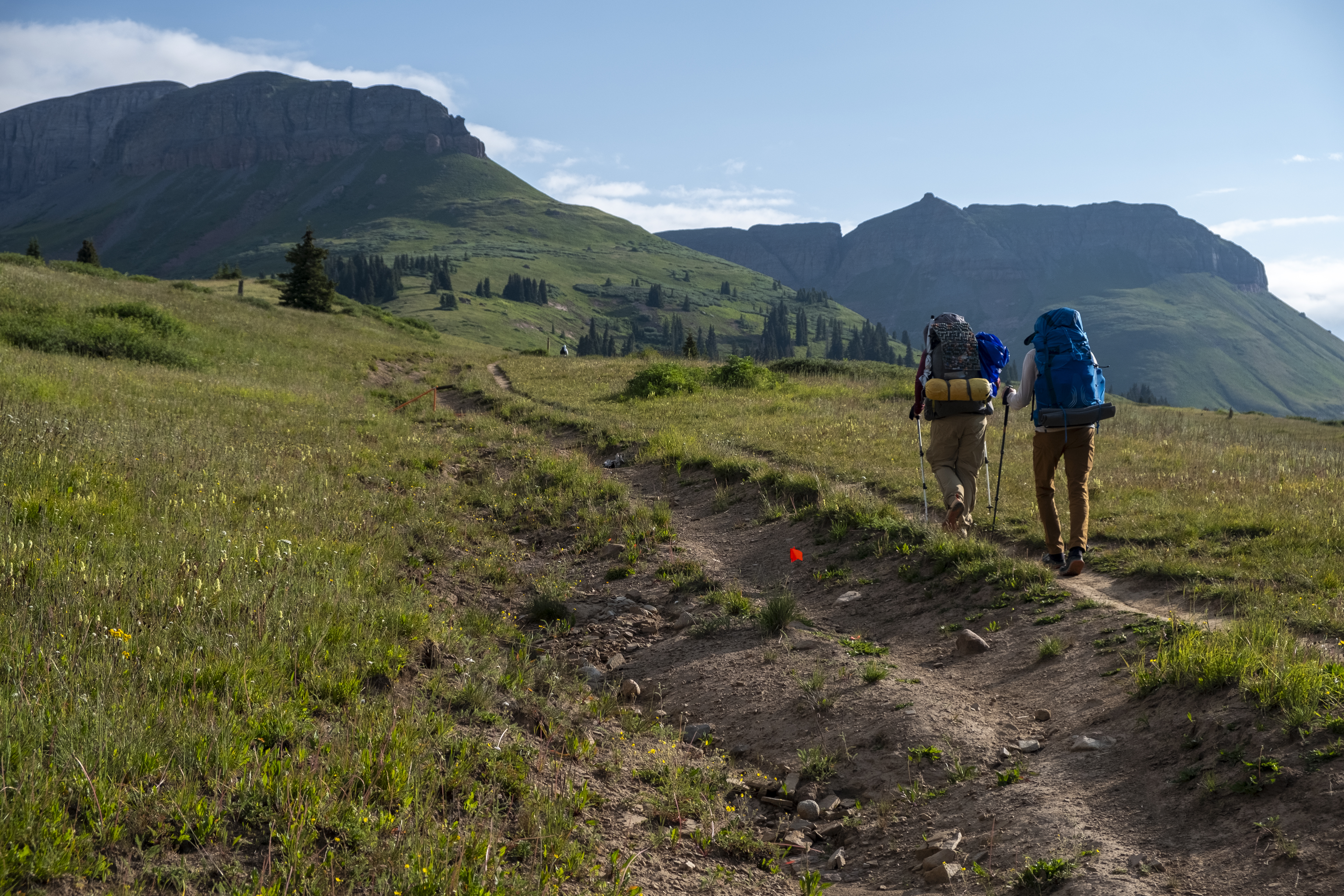 Two hikers navigate around a section of trail flagged for repair on Segment 25 of the Colorado Trail west of Molas Pass, Colorado, as seen Friday, July 26, 2024. Each segment of the Colorado Trail had dedicated trail maintenance crews whom maintain and repair their segment or segments of the trail, ensuring the trails stay as well kept as possible for user groups to travel on year in and year out. (JonathanIngrahamDigital Strategistjonathan.ingraham@denvergazette.comhttps://denvergazette.com/content/tncms/avatars/c/dd/7f0/cdd7f086-b693-11ec-b373-bba598953eb6.fc0f5608a6f1144f64f080f771bd904d.png)