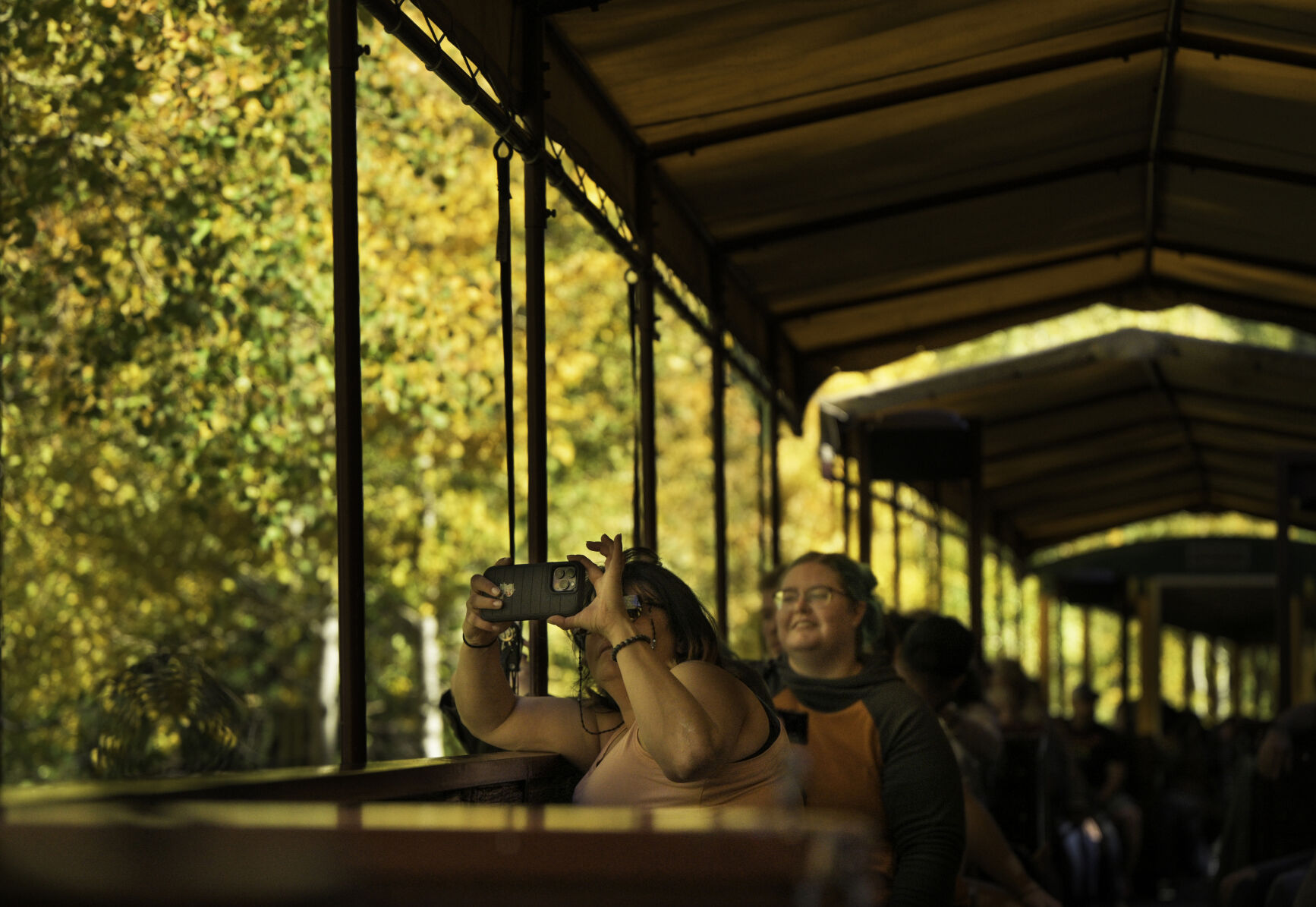 Tourists take photos of the golden aspens while riding in the open-air train on the Georgetown Loop Railroad last month. The tourist train travels between Georgetown and Silver Plume, both old mining towns. (Jerilee Bennett, The Gazette)