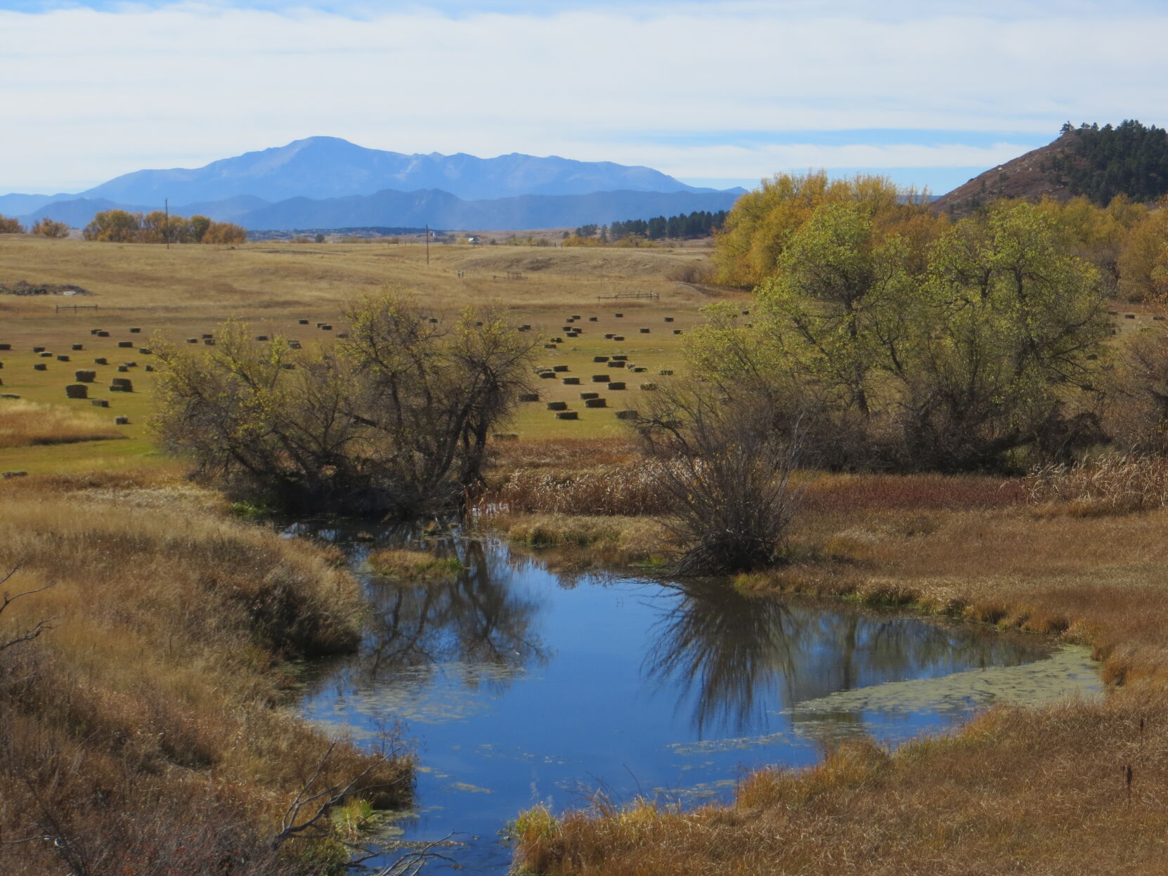 Pikes Peak is seen from Lincoln Mountain Open Space in Douglas County. (courtesy of Patti Hostetler, Douglas Land Conservancy)