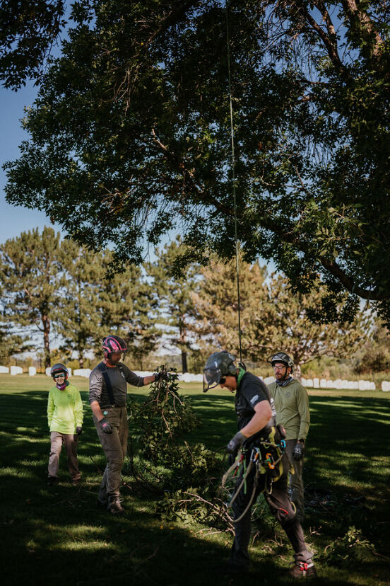 Professional arborists prune overgrown trees at Fort Logan national Cemetery on Sept. 18, 2024 as part of the Saluting Branches day of service. Since its founding in 2015, the Saluting Branches event has brought together more than 15,000 arborists and tree care professionals at 100 veteran-focused sites across 48 states. The hours volunteered by participants translate into more than $15 million worth of donated services to the nation’s veteran cemeteries. (Courtesy photo, Molly Margret Photography LLC)