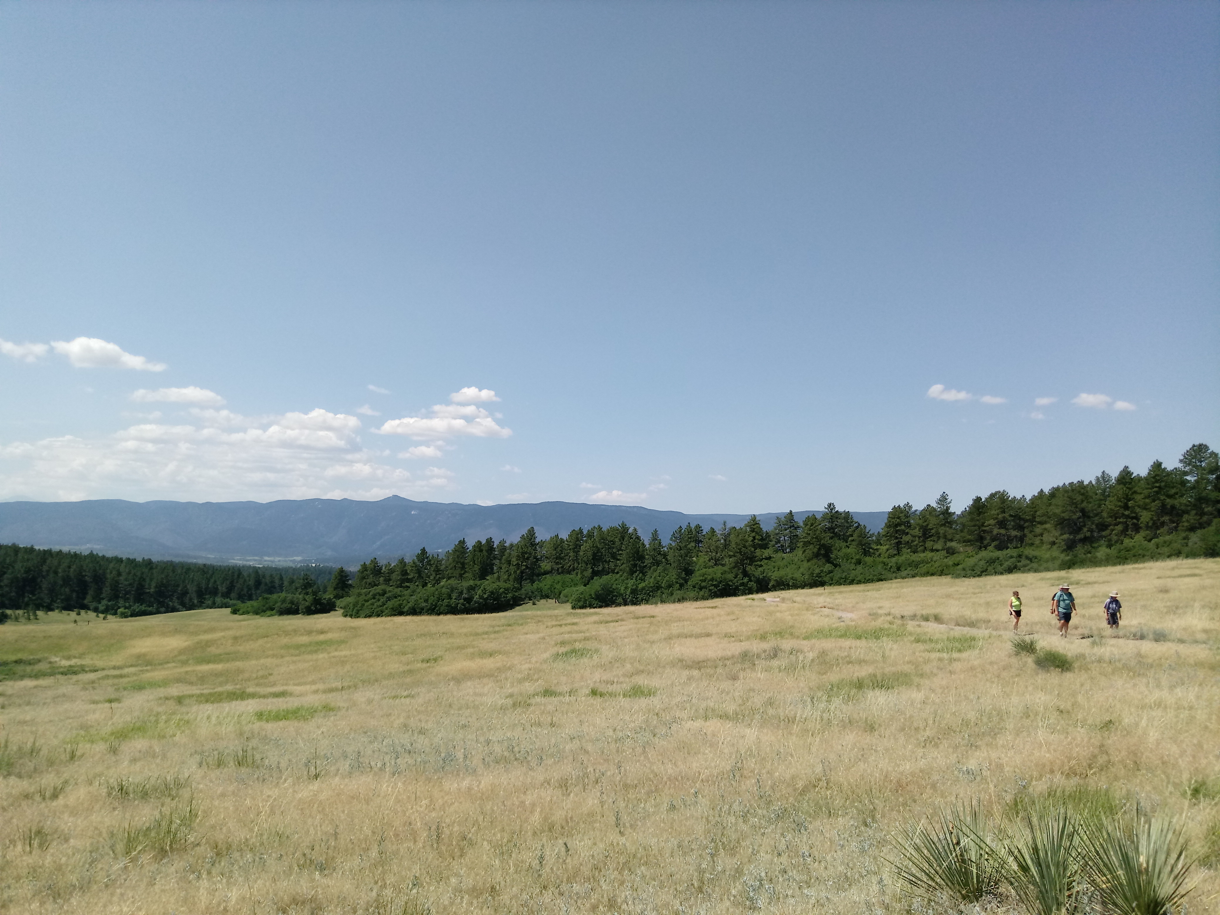 One can either start or end in the most scenic meadow along the 5-mile loop trail at Dawson Butte Open Space. (Seth Boster, The Gazette file)