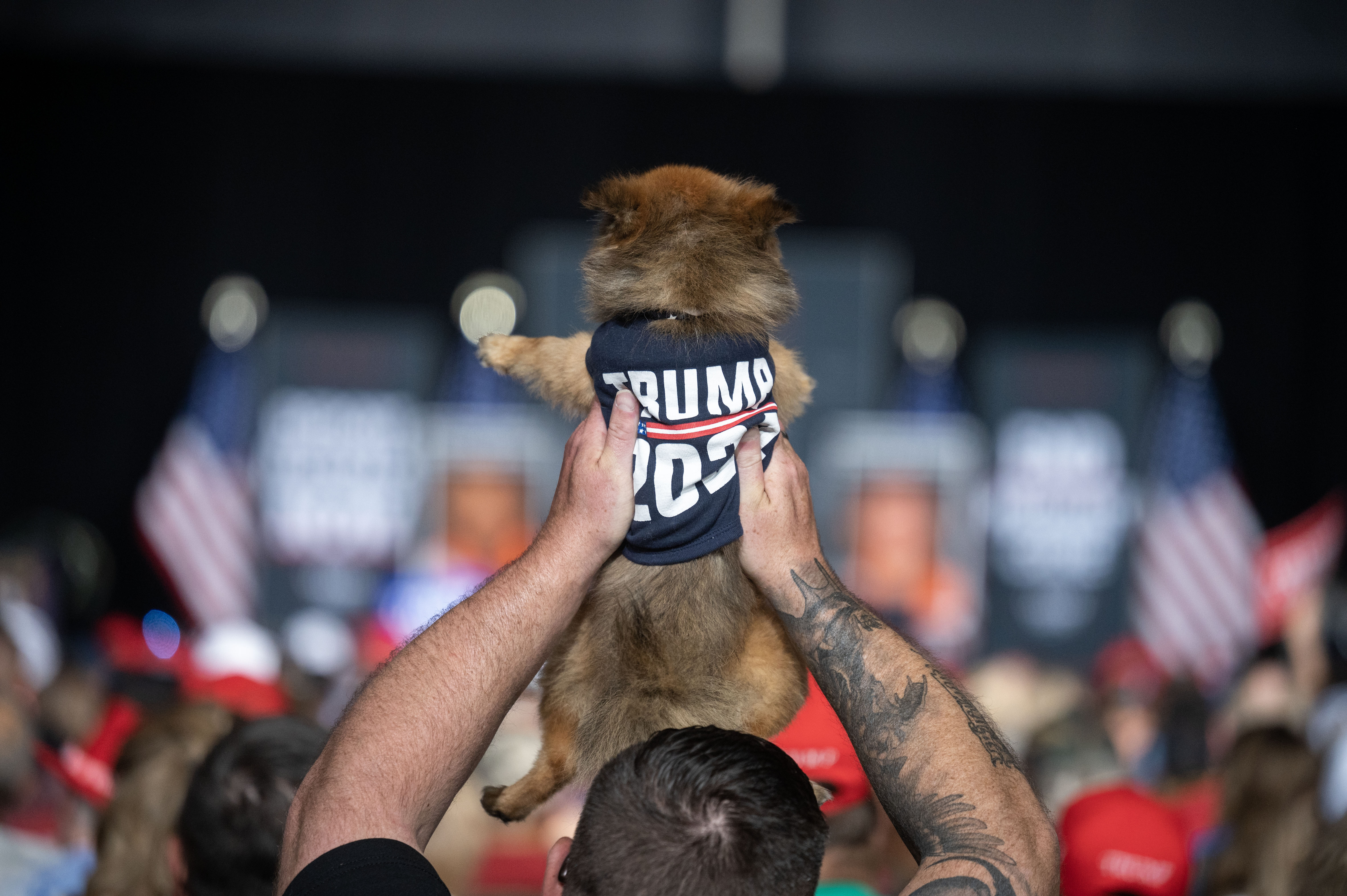 A man holds up his dog, in a Trump t-shirt, as Trump discusses immigration during a political rally at the Gaylord Rockies Resort and Convention Center in Aurora on Friday, Oct. 11, 2024. (Stephen Swofford, Denver Gazette) (Stephen Swofford, Denver Gazette)