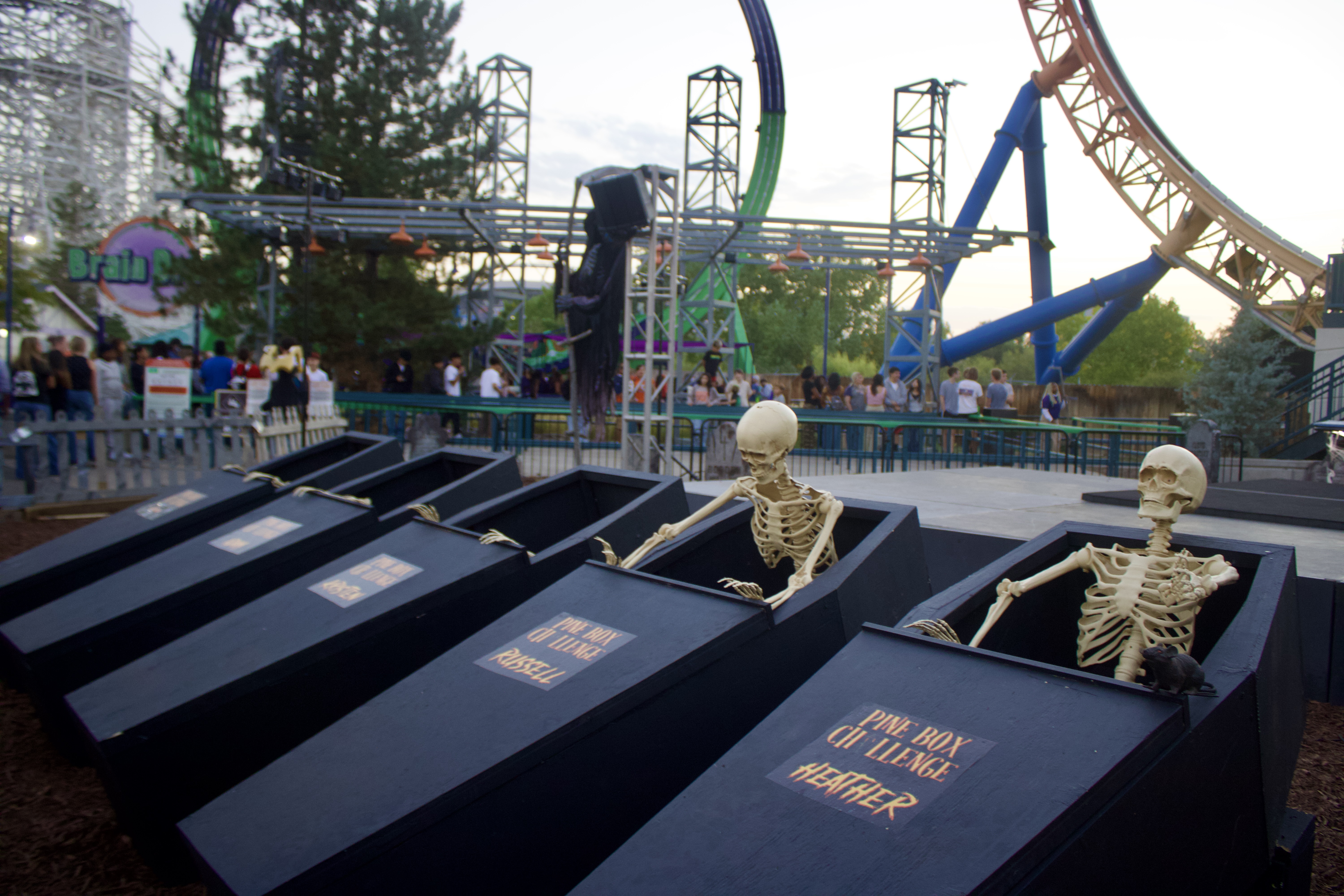Halloween decoration skeletons take the place of the five