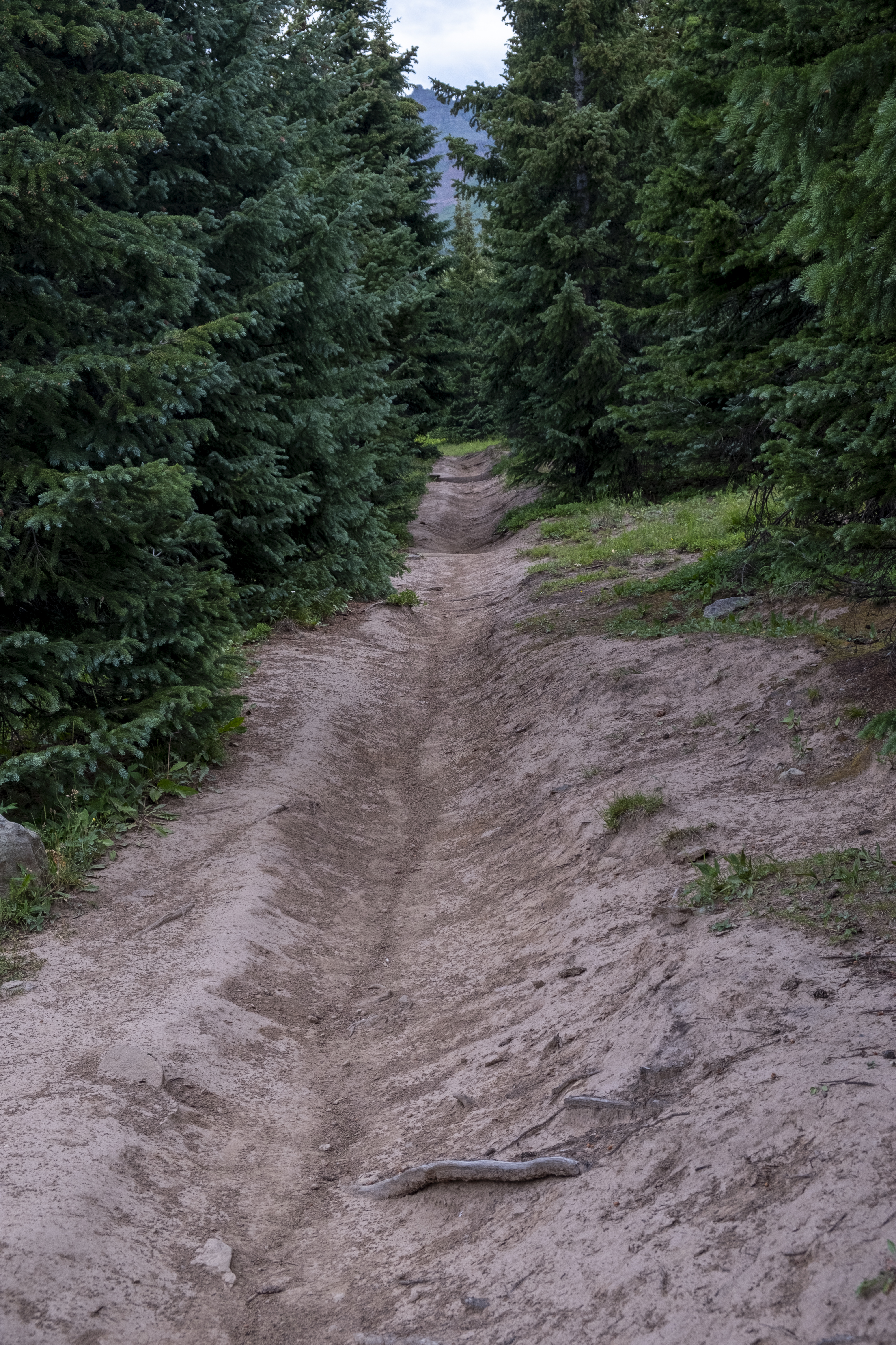 A section of Colorado Trail along Segment 25 has eroded down some into a channel, as seen Friday, July 26, 2024 west of Little Molas Lake, Colorado south of Silverton, Colorado. Soil erosion along the Colorado Trail is widespread, however, is maintained routinely through a partnership between the Colorado Trail Foundation, the U.S. Forrest Service and volunteer groups in Colorado. (JonathanIngrahamDigital Strategistjonathan.ingraham@denvergazette.comhttps://denvergazette.com/content/tncms/avatars/c/dd/7f0/cdd7f086-b693-11ec-b373-bba598953eb6.fc0f5608a6f1144f64f080f771bd904d.png)