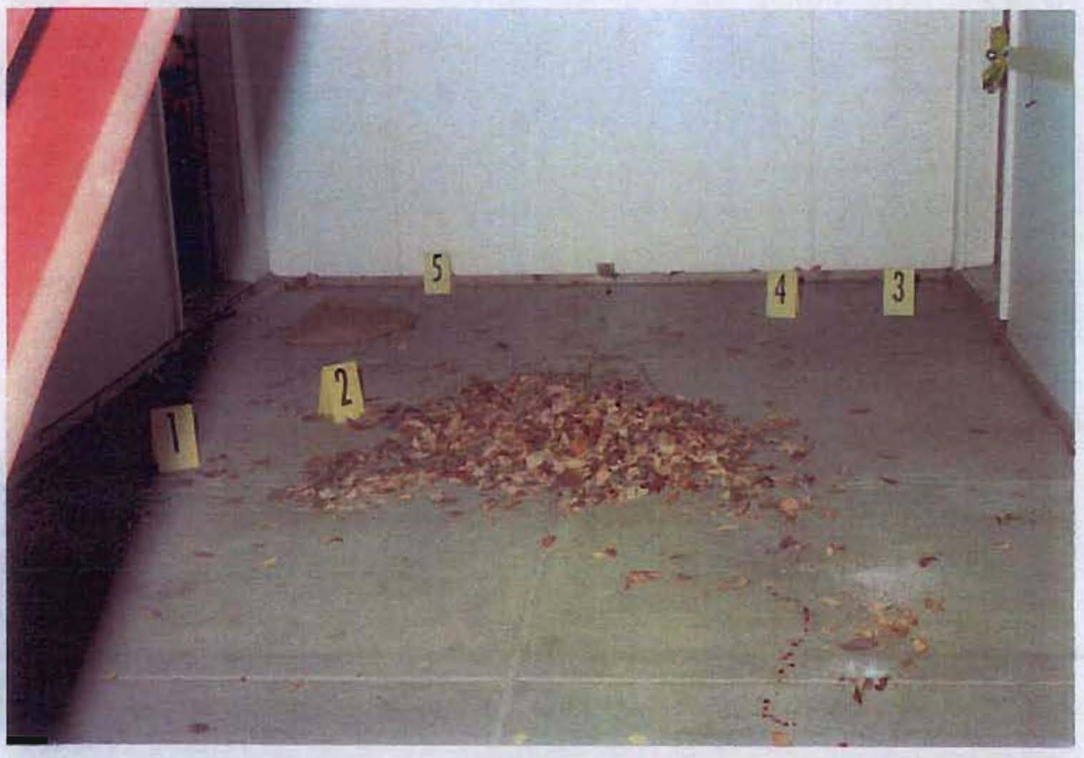 Crime scene markers surround a pile of leaves outside of Marty Grisham's home in Boulder in this November 1994 file photo. (Photo courtesy of Boulder Police Department)