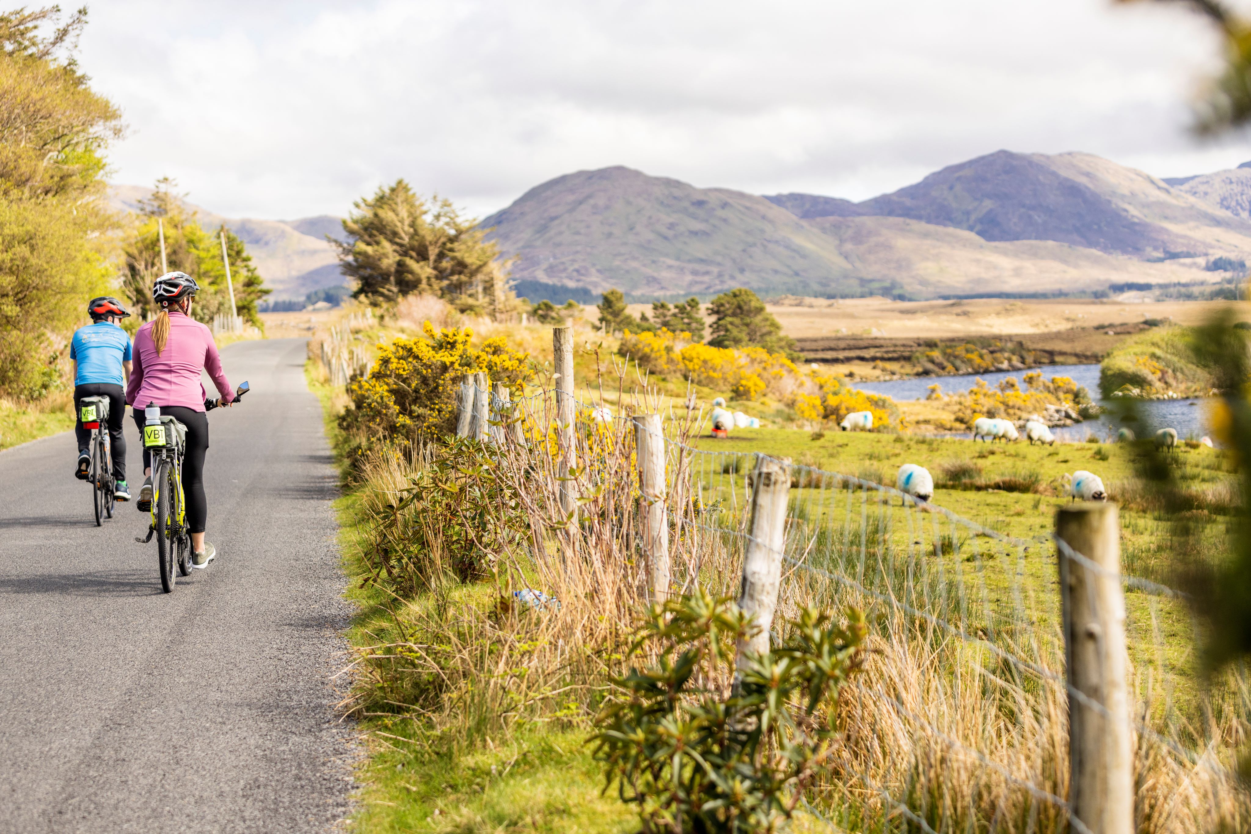 On a Roll: E-Bike Touring with VBT