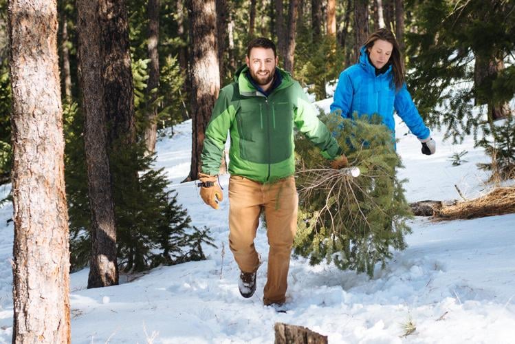 Here's how to chop down your own Christmas tree at a state park near Denver (copy)