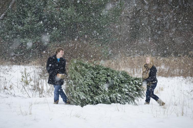 How cutting down a Christmas tree can help save the forest (copy)