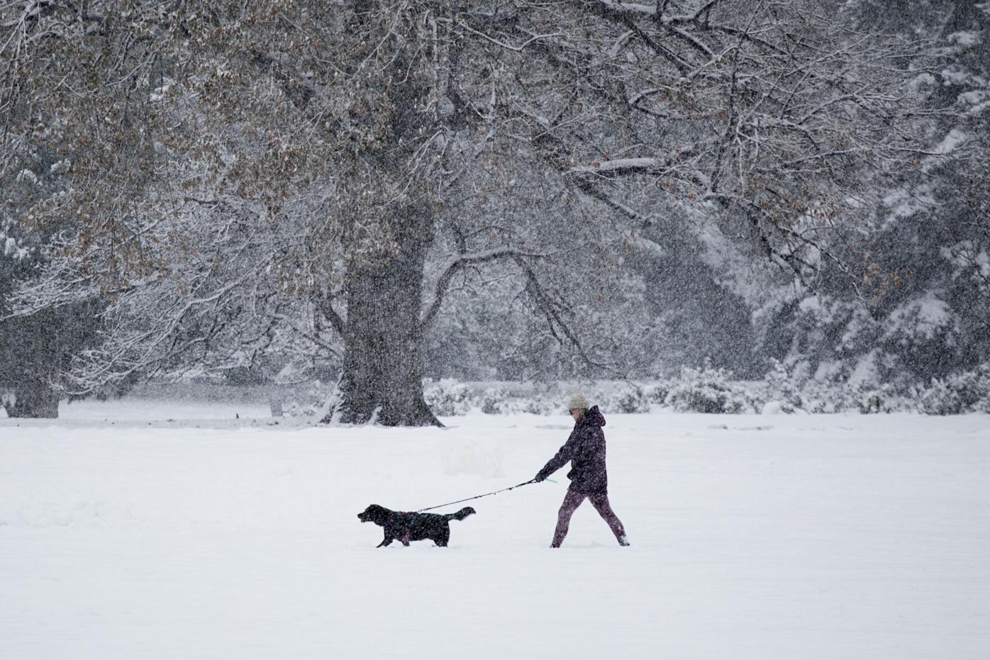 Snow storm cripples Colorado, causing school closures and canceled flights