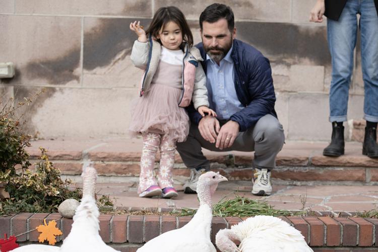 Conor Cahill and his daughter Sydney look at turkeys