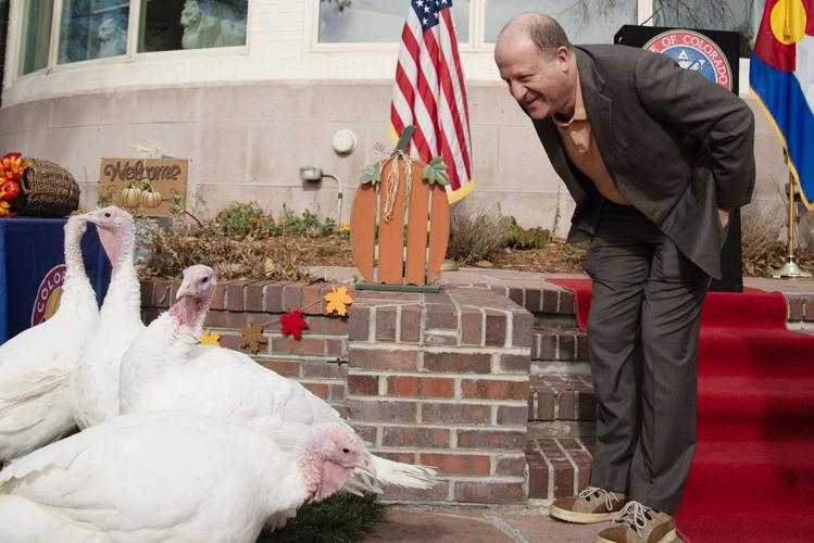 Colo. Gov Jared Polis examines four turkeys