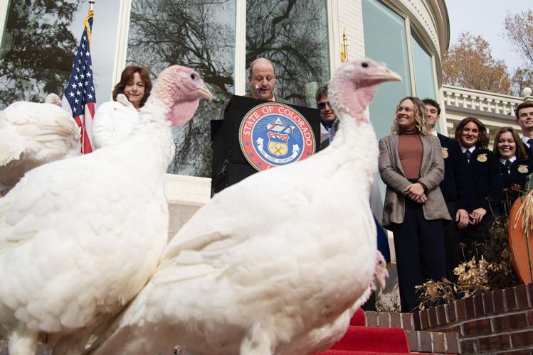 Colo. Gov Jared Polis pardoned four turkeys