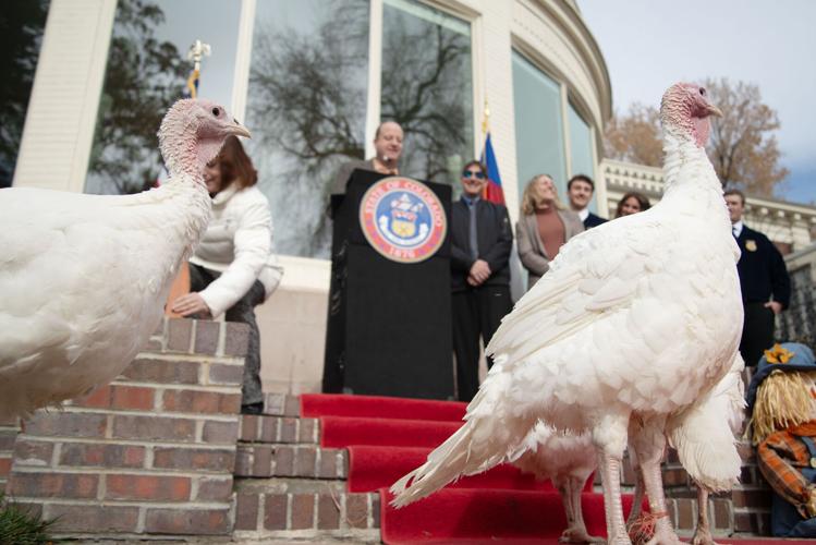 Colo. Gov Jared Polis pardons four turkeys from Colorado farms